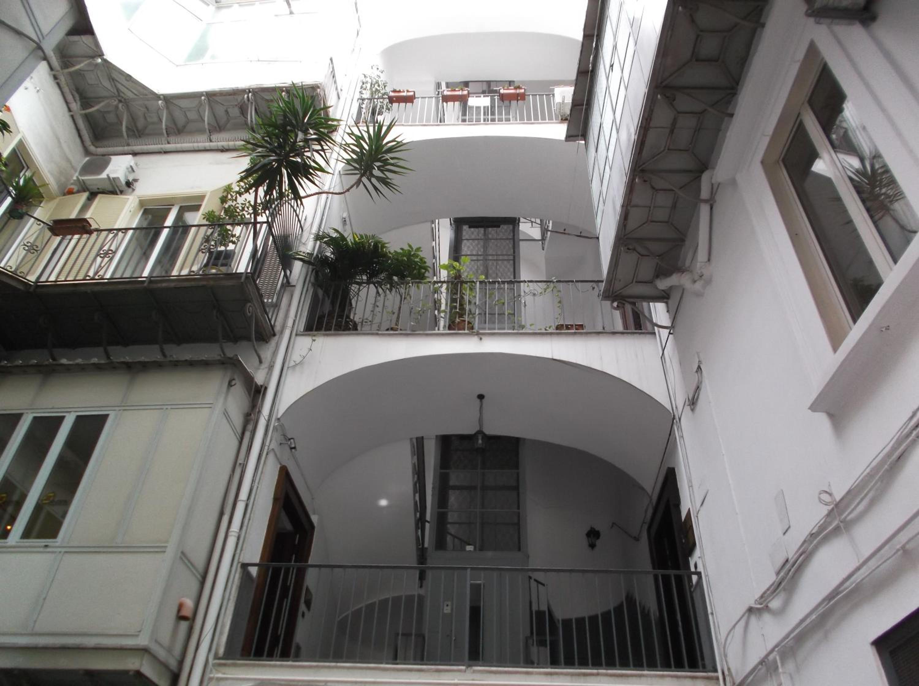 Santa Lucia 50