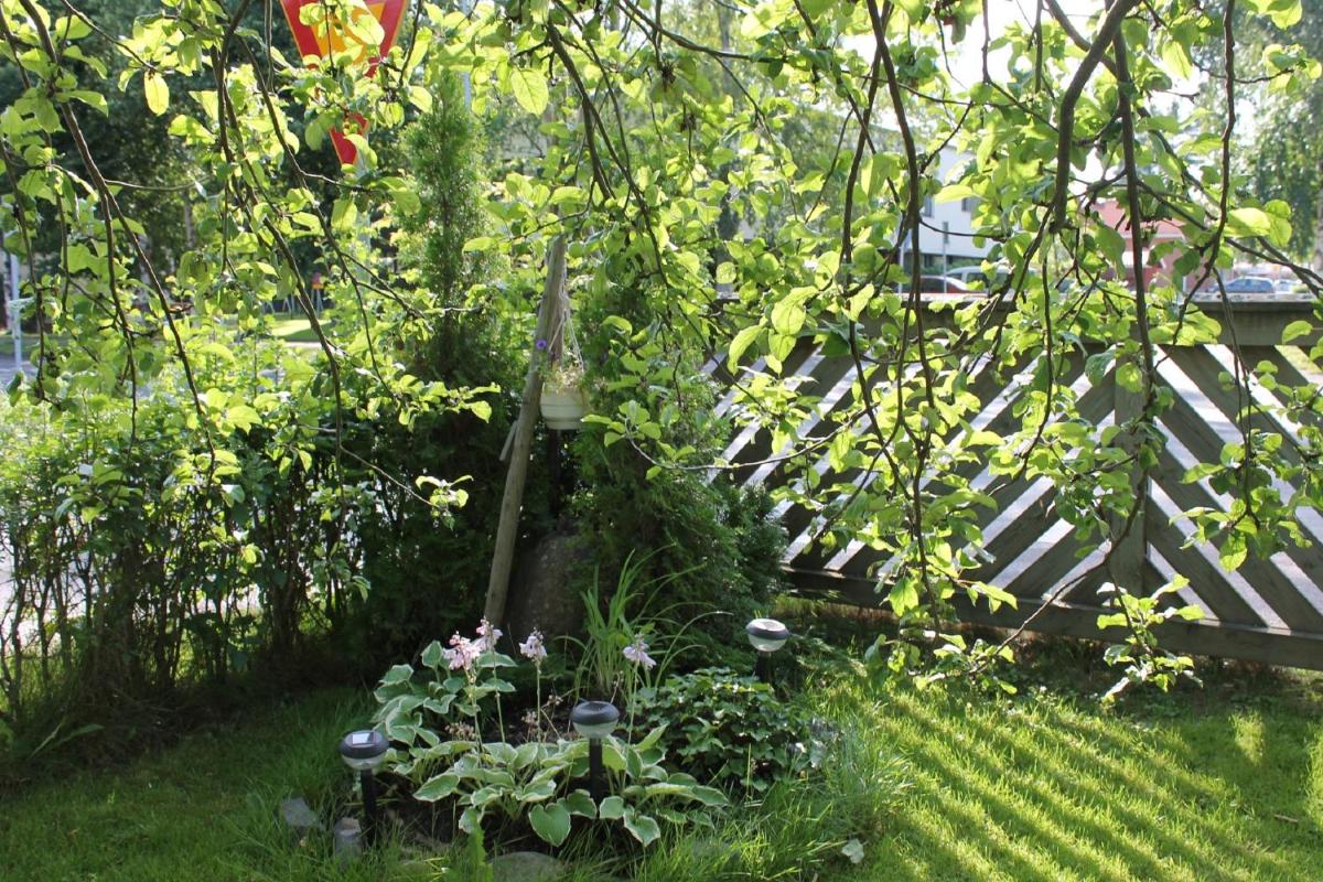 garden