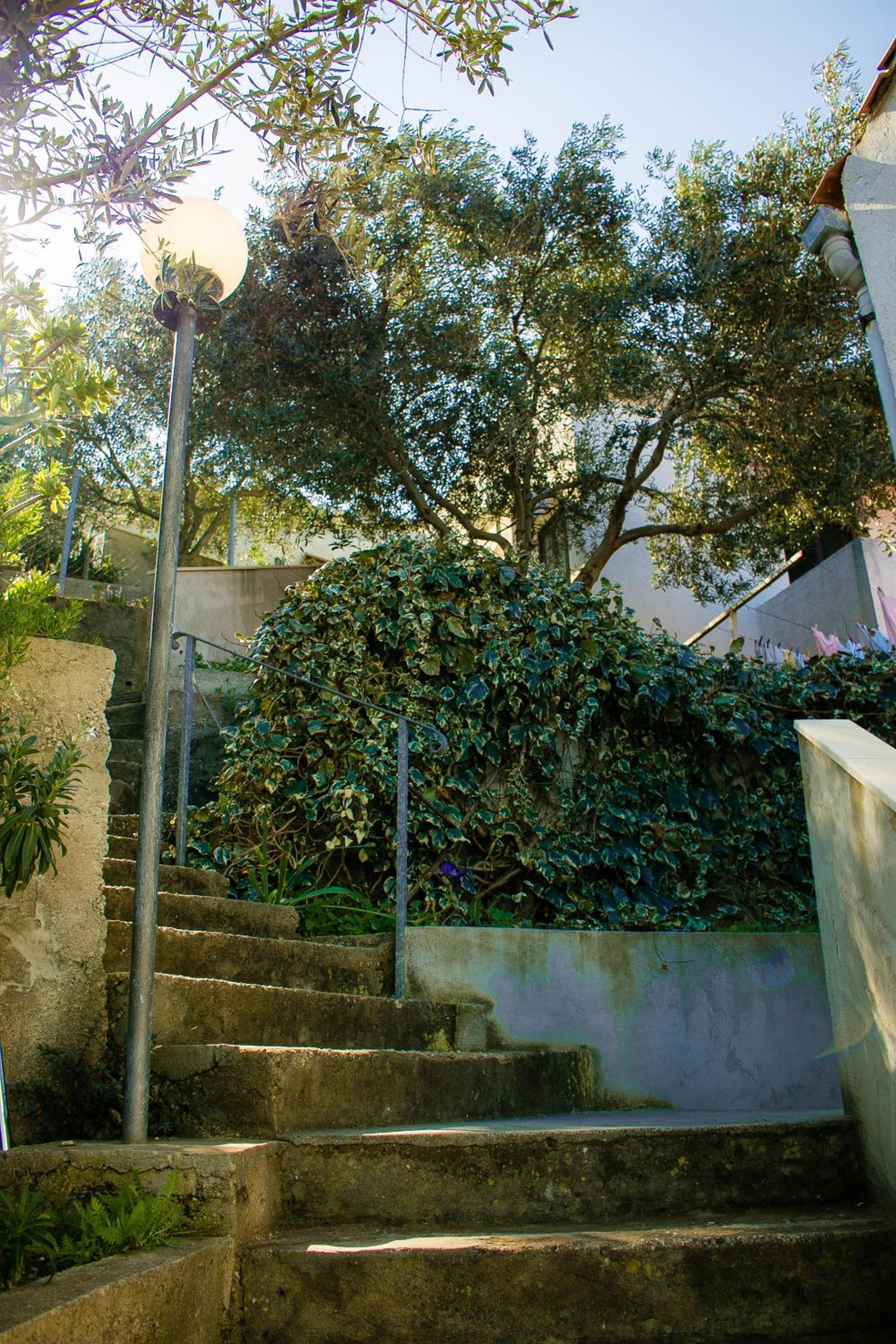 Photo 40