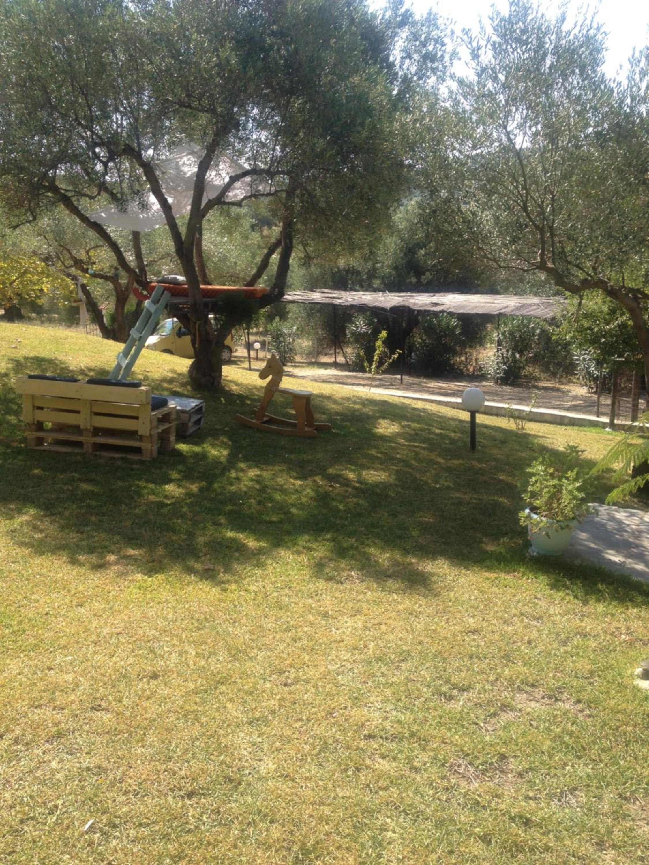 Photo 47
