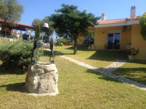 Photo 42