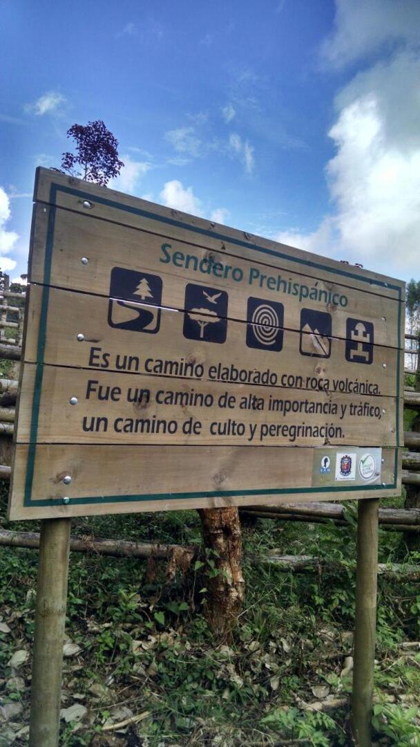 Monte Mágico