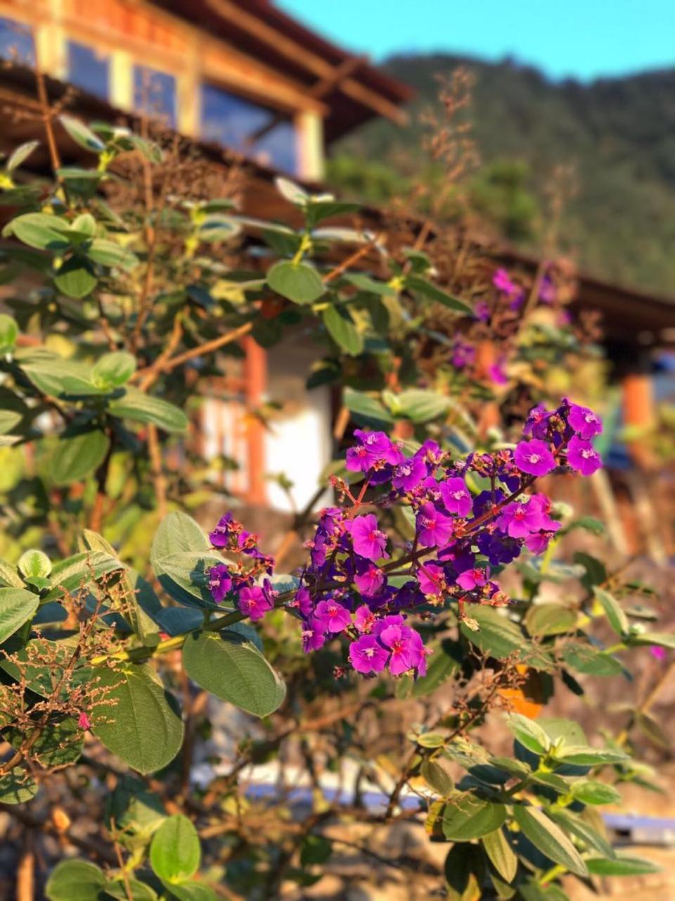 Monte Mágico