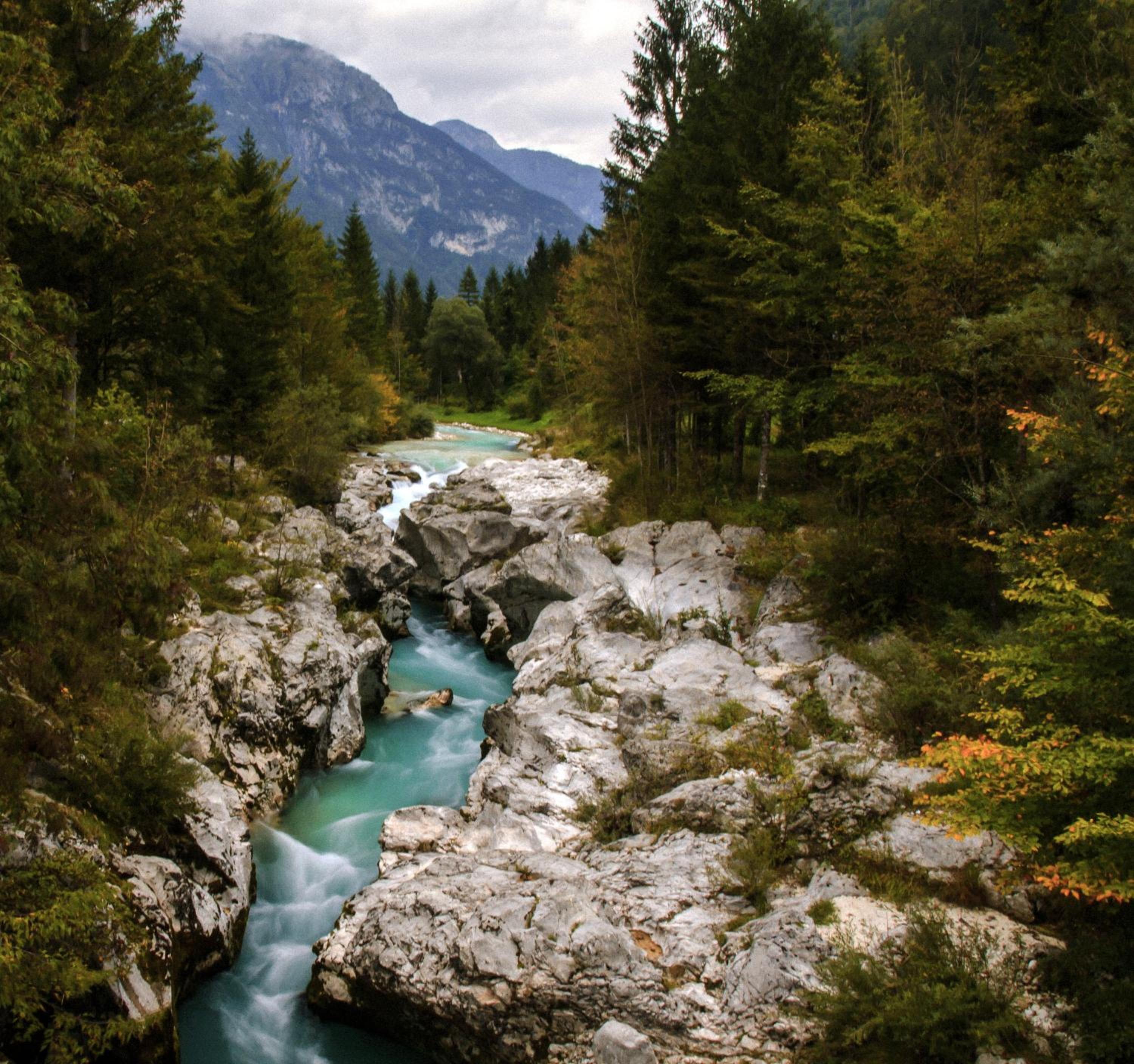 Photo 88