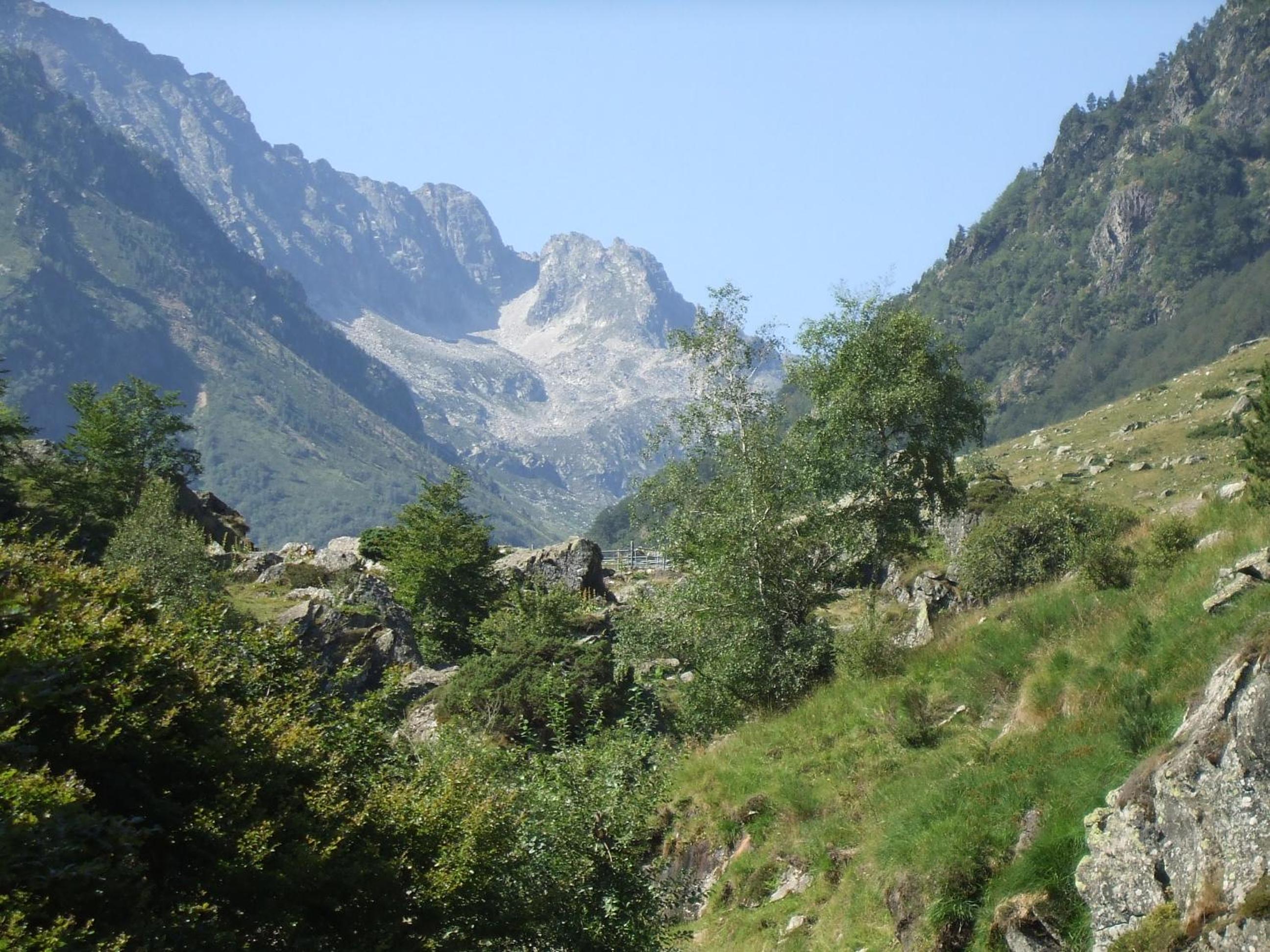 Les FEICHES et MARGUERITES