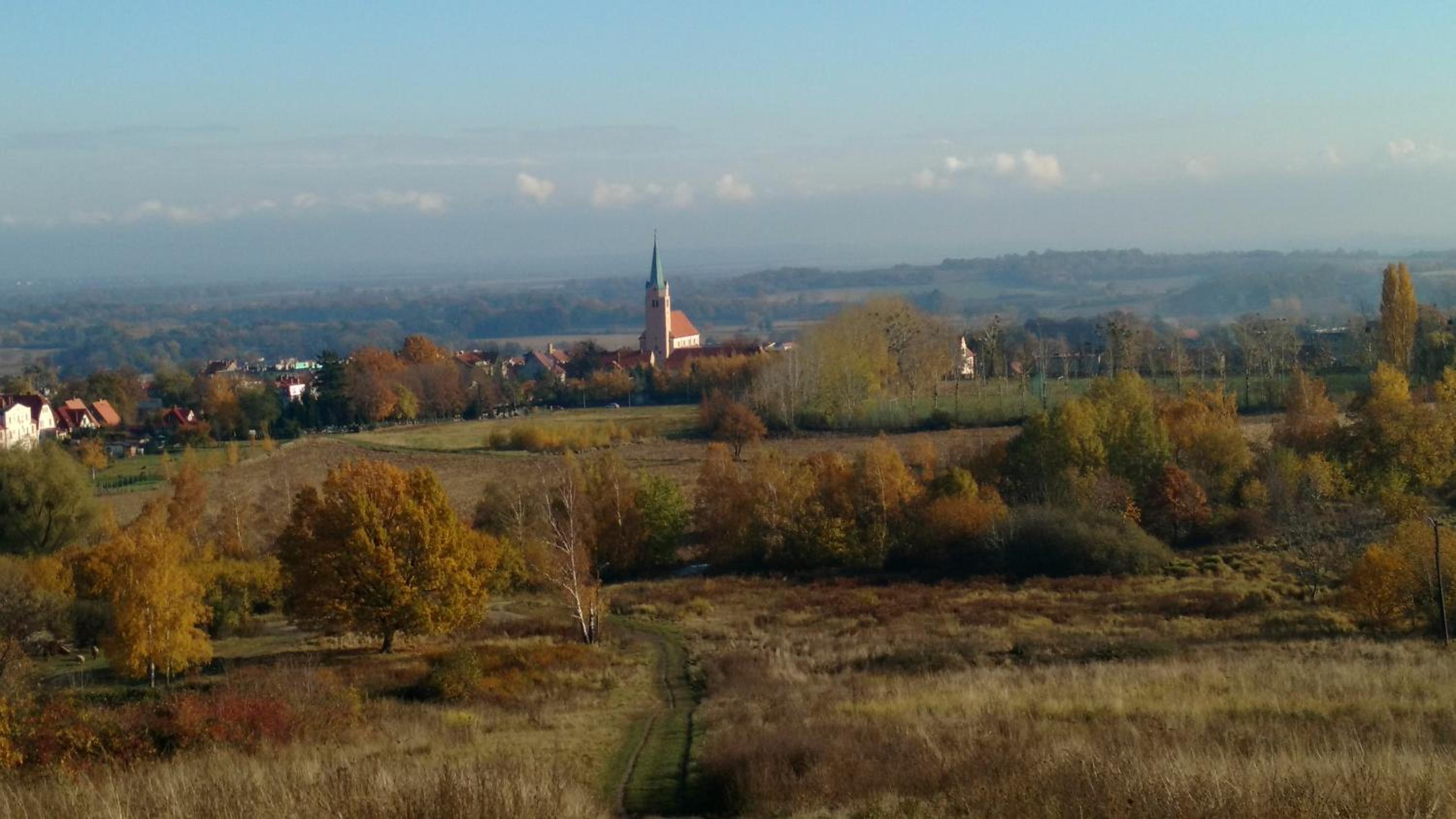 Photo 33