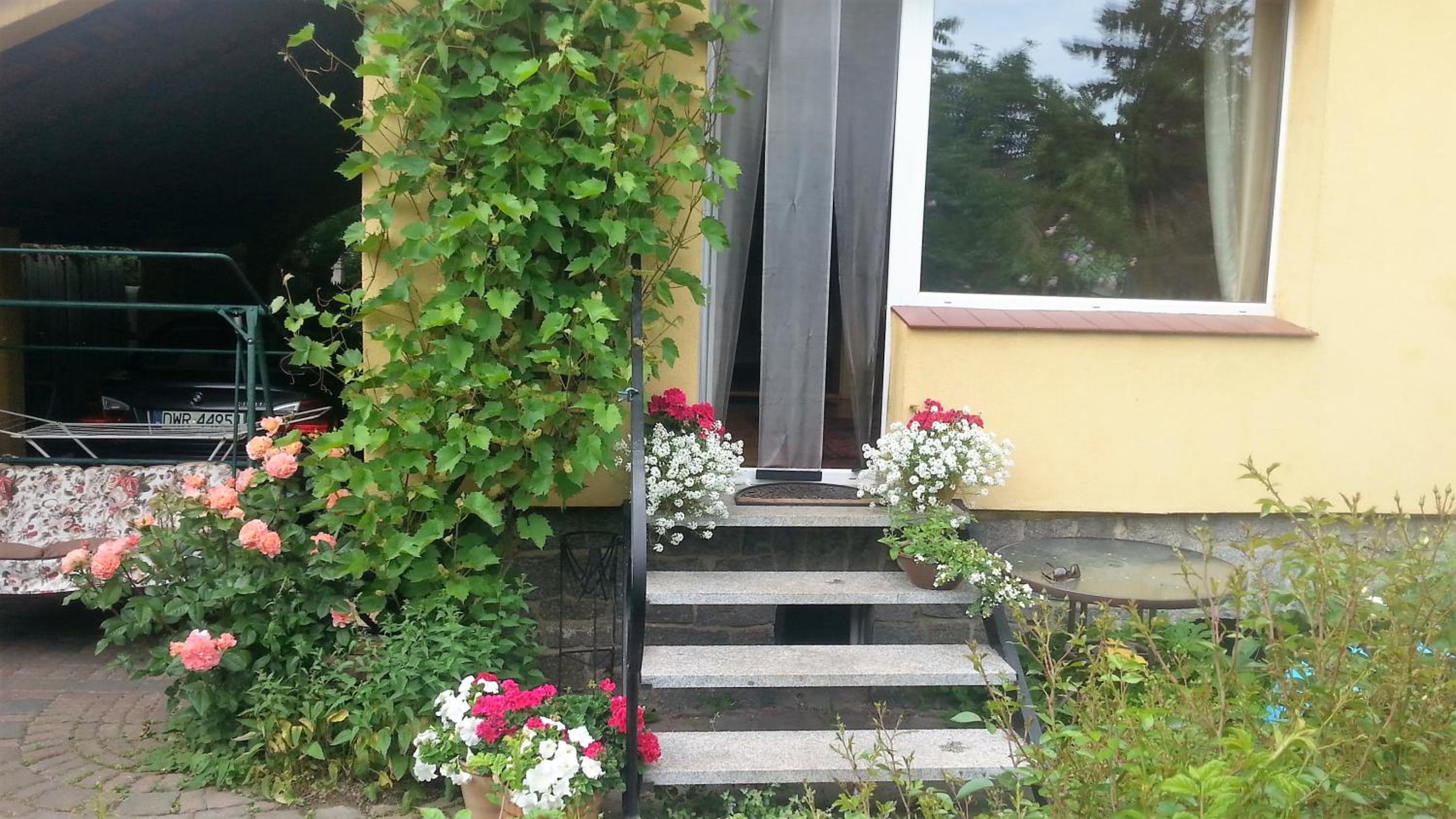 Photo 37