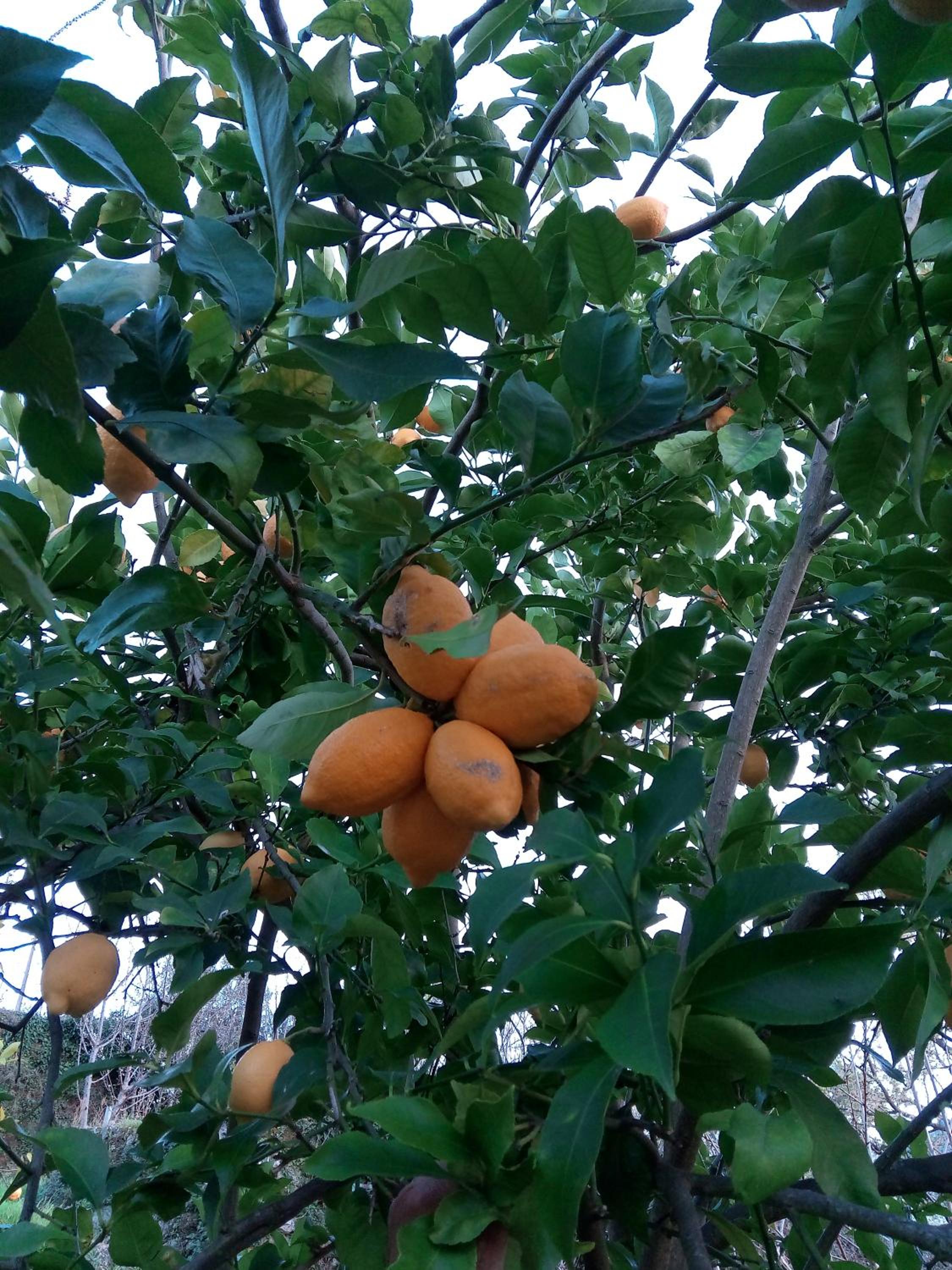 Photo 44