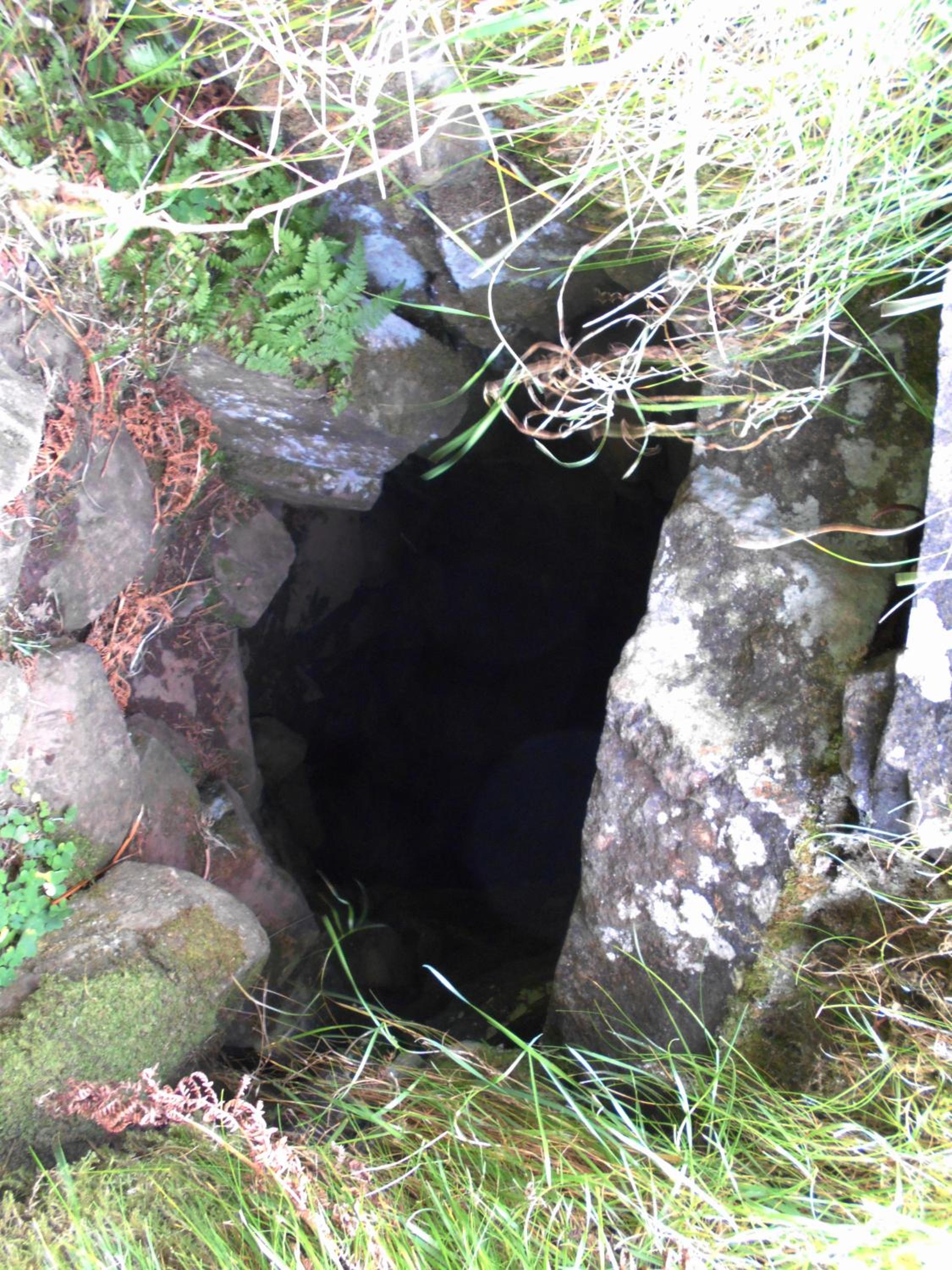 Photo 45