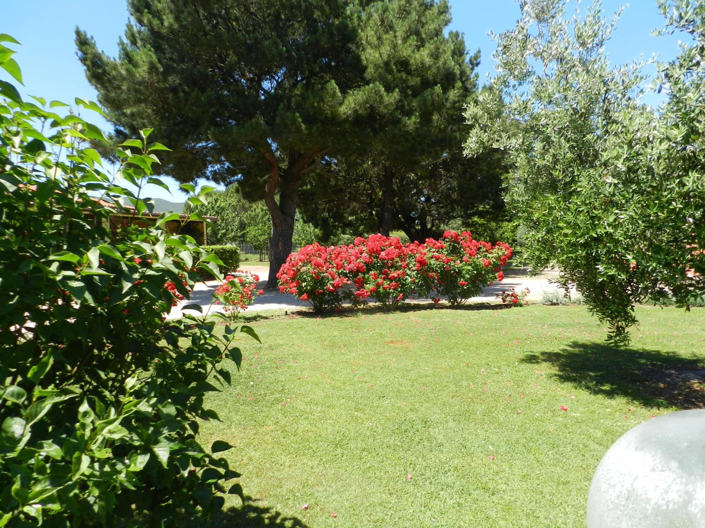 Agriturismo Fusini