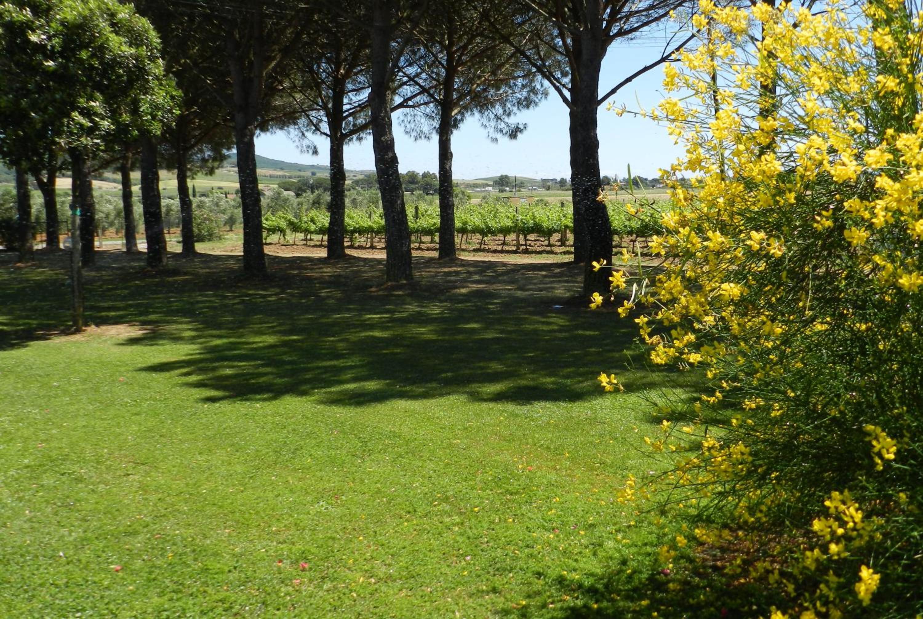Agriturismo Fusini