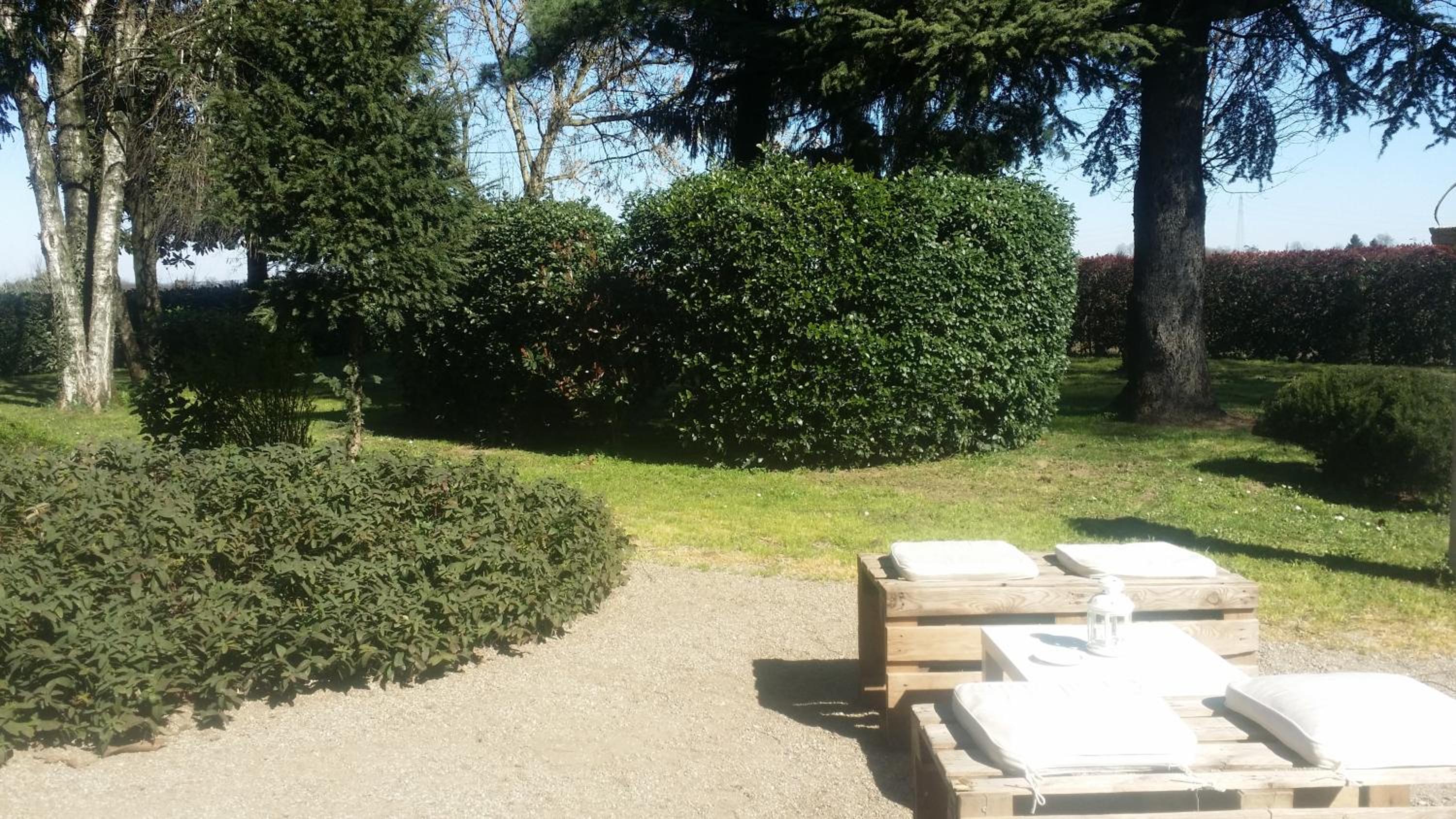 Photo 17
