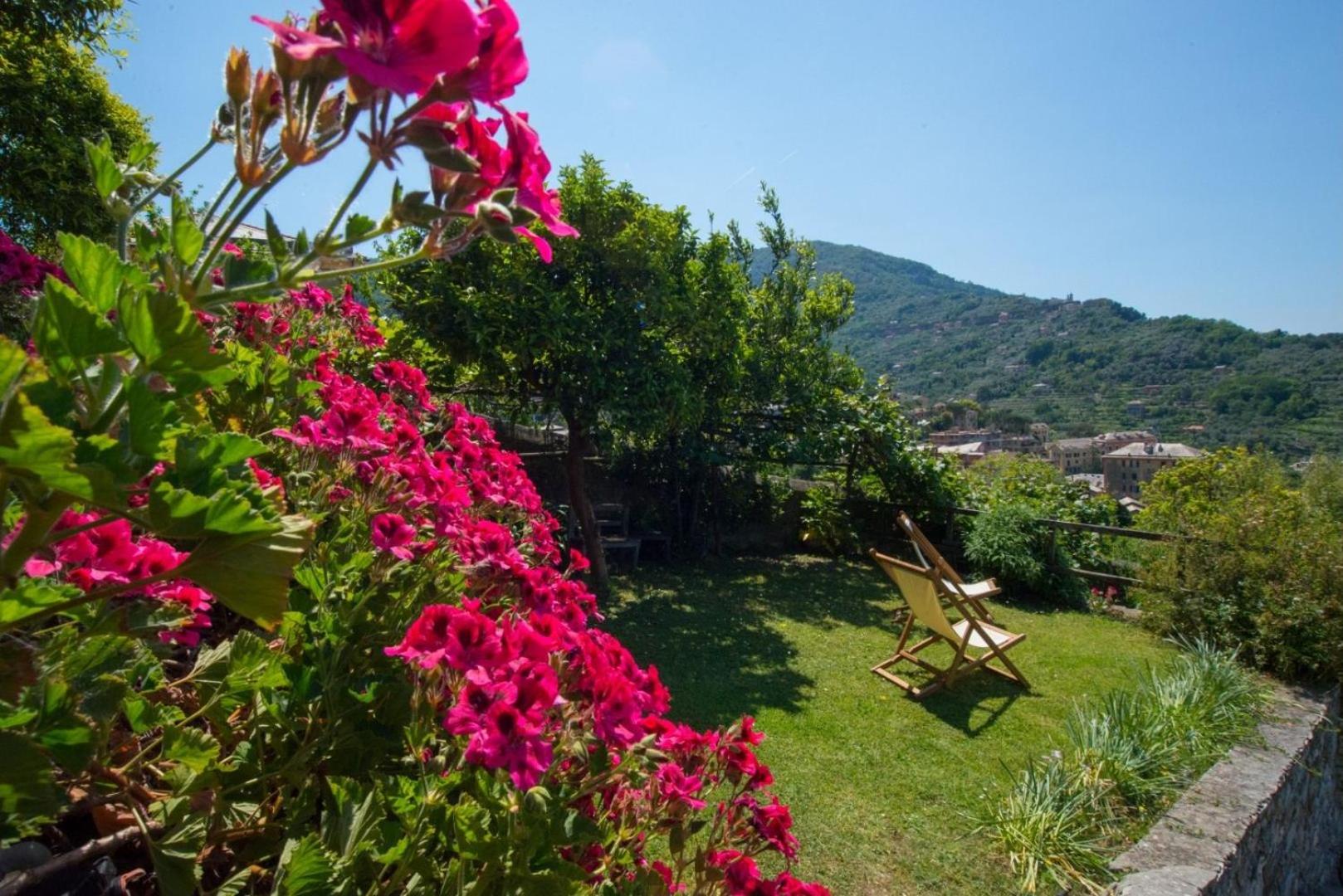 Le Clementine B&B view 2