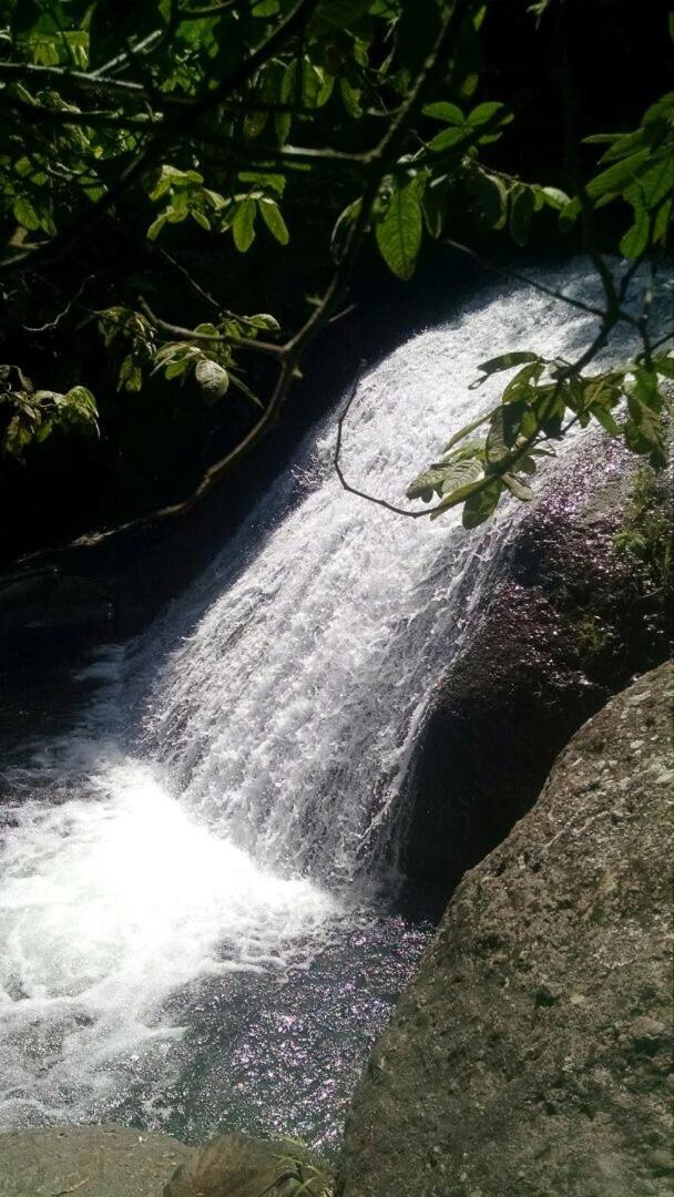 Monte Mágico