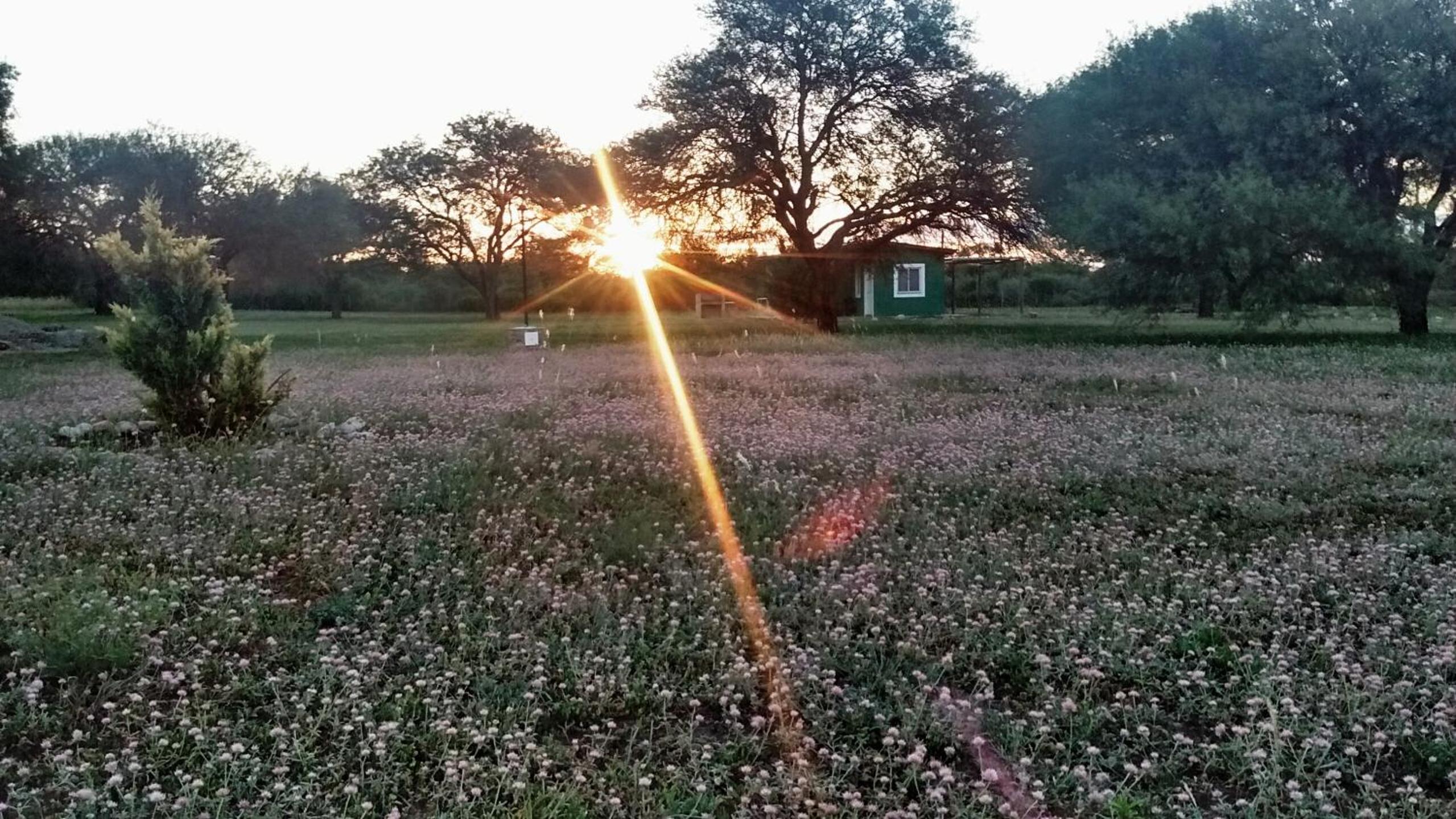 Cabañas Los Algarrobos