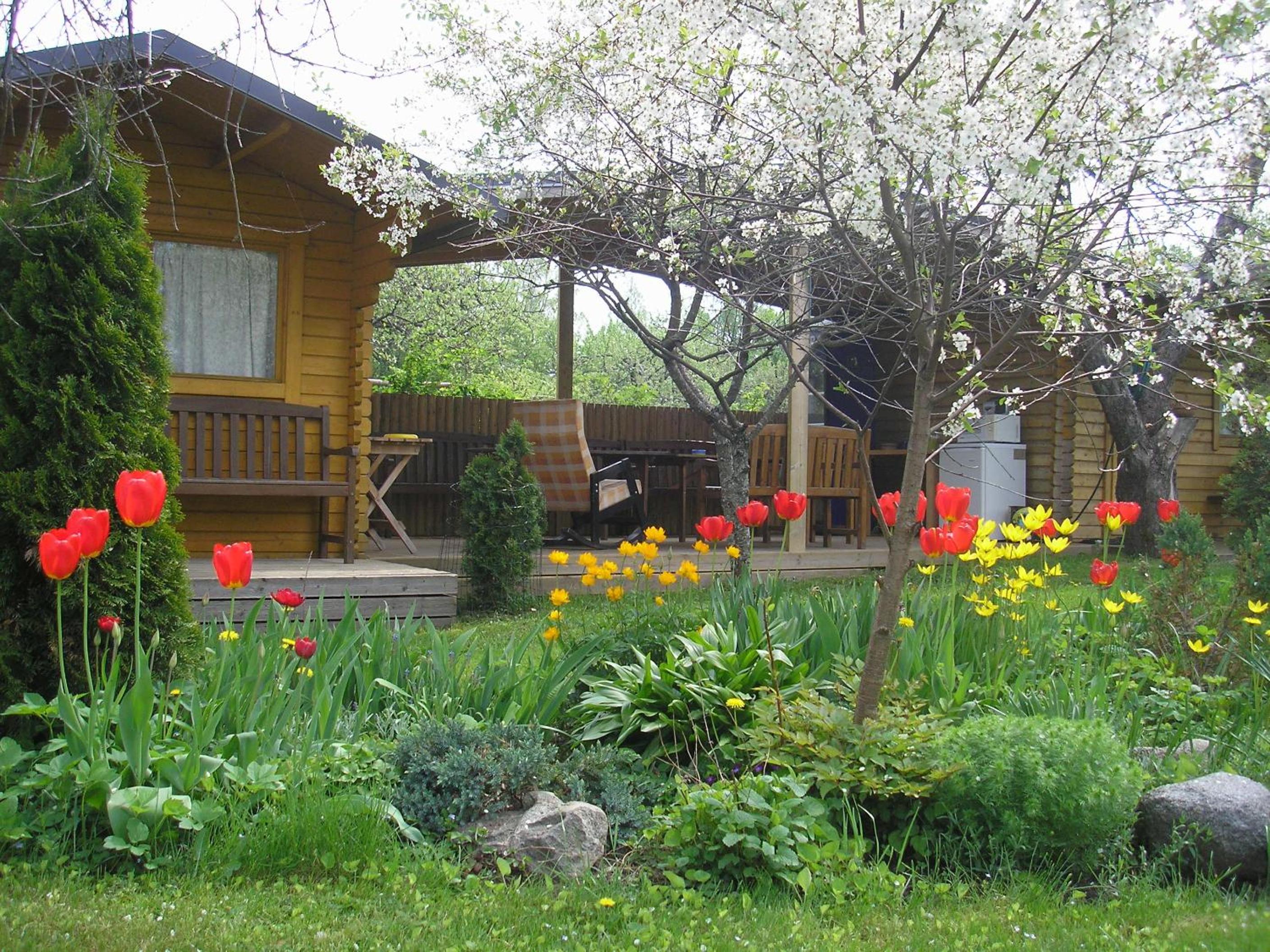 Photo 32