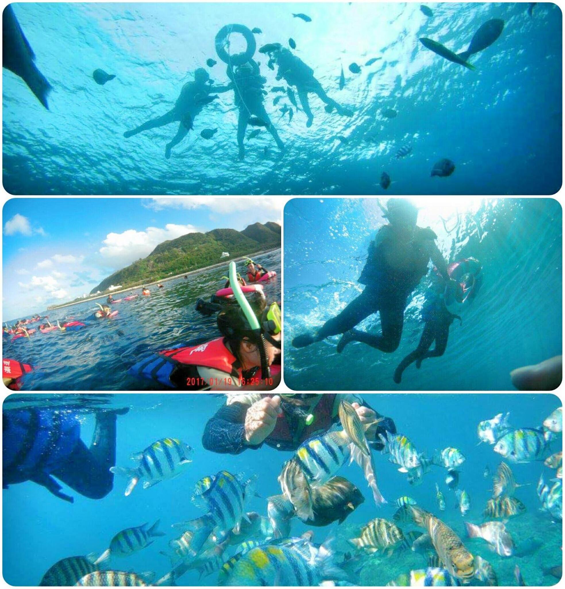 海明威民宿 台東縣民宿編號0849號
