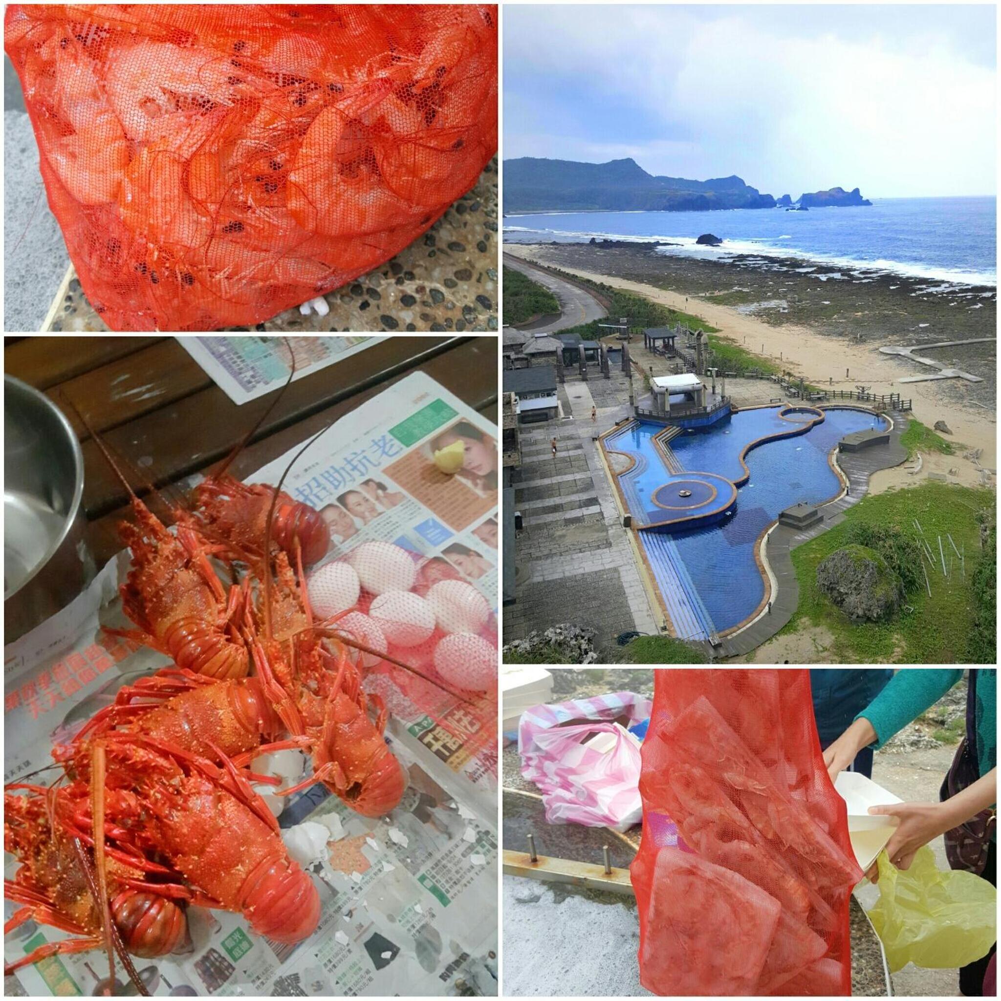 海明威民宿 台東縣民宿編號0849號