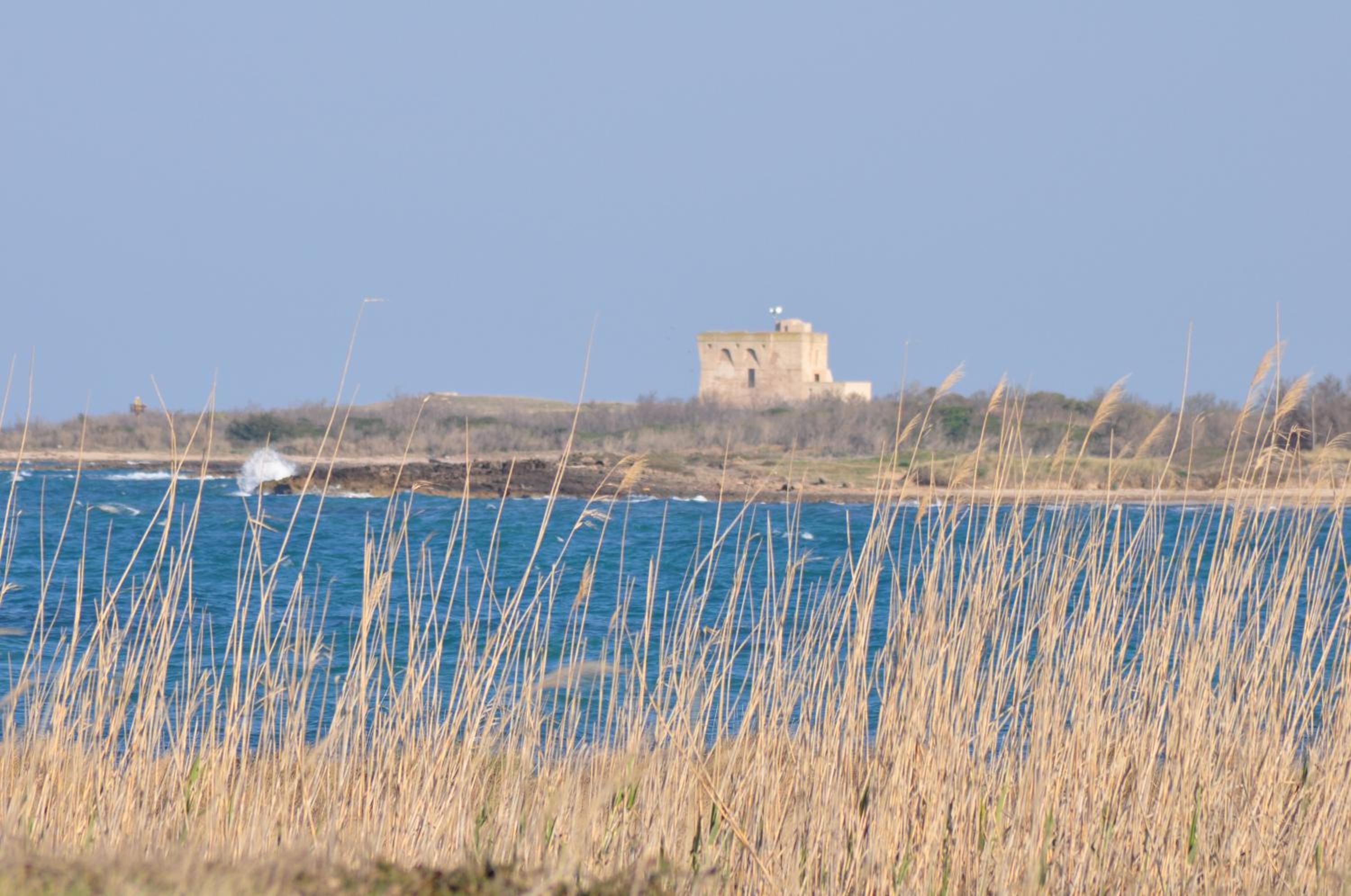Masseria Le Terrazze di Serranova