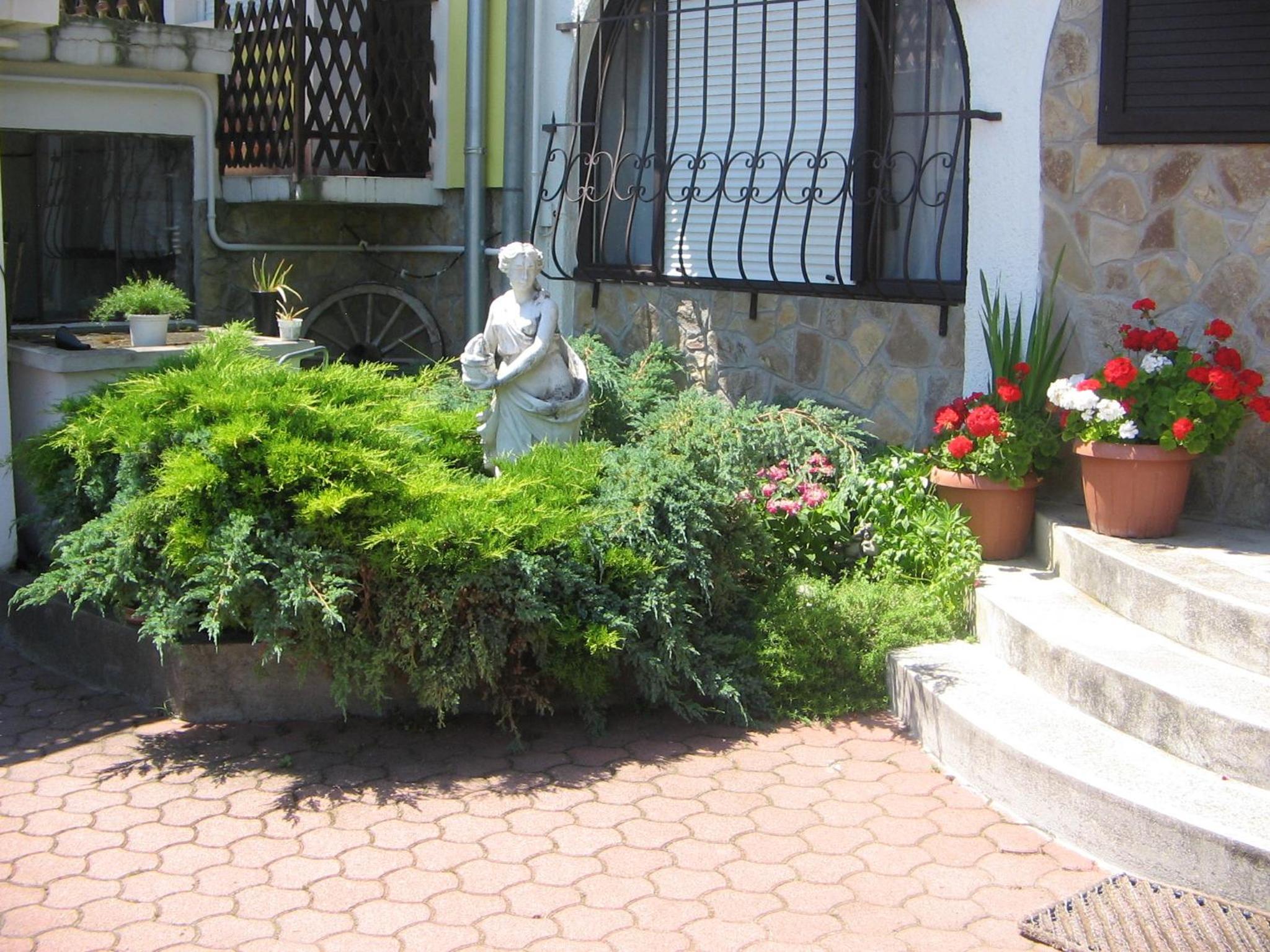 Photo 41