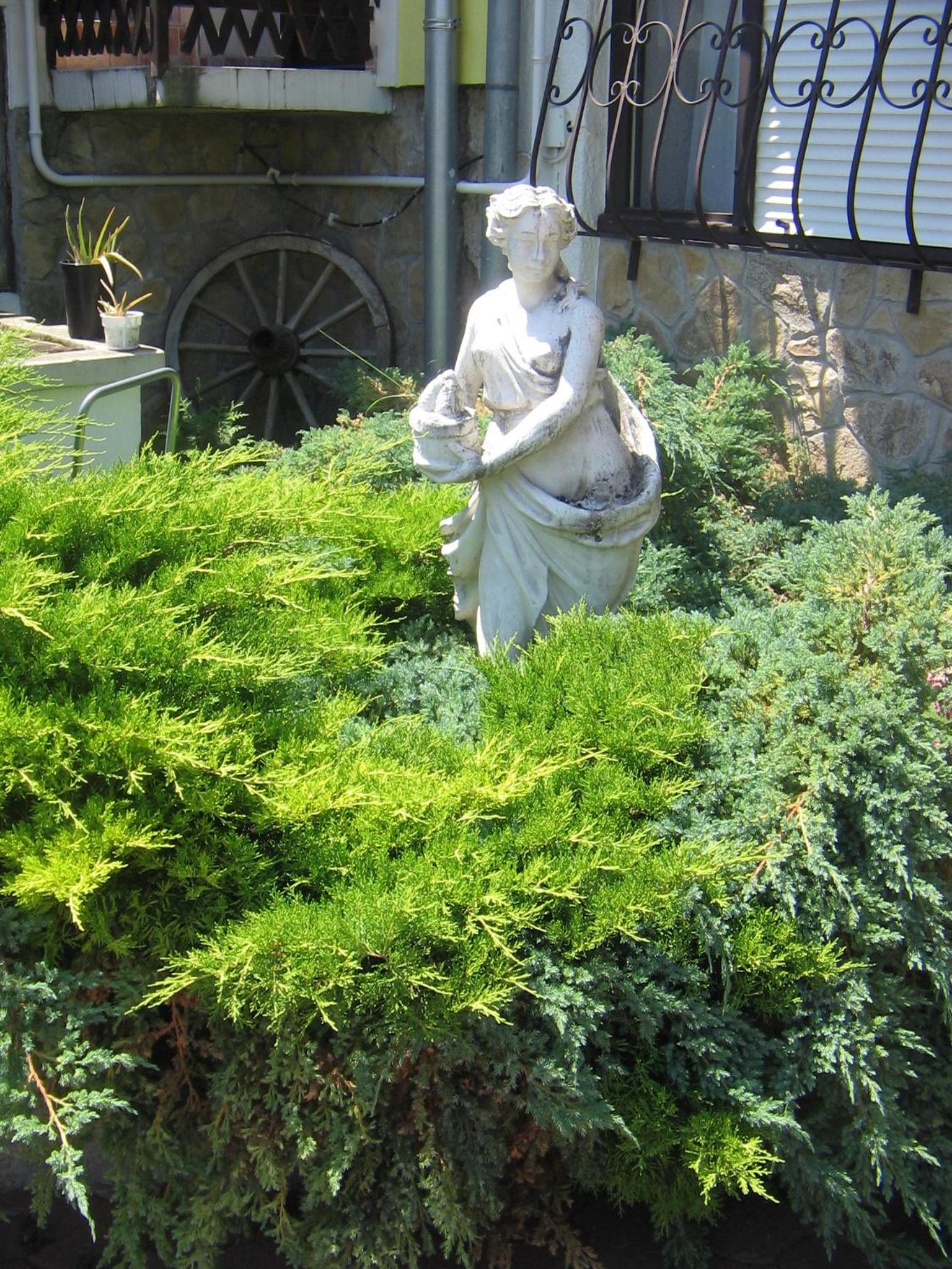 Photo 33