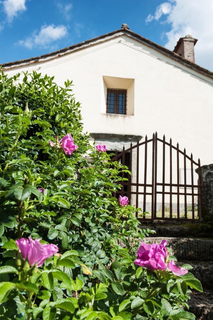 Agriturismo di Baroni Enzo view 5