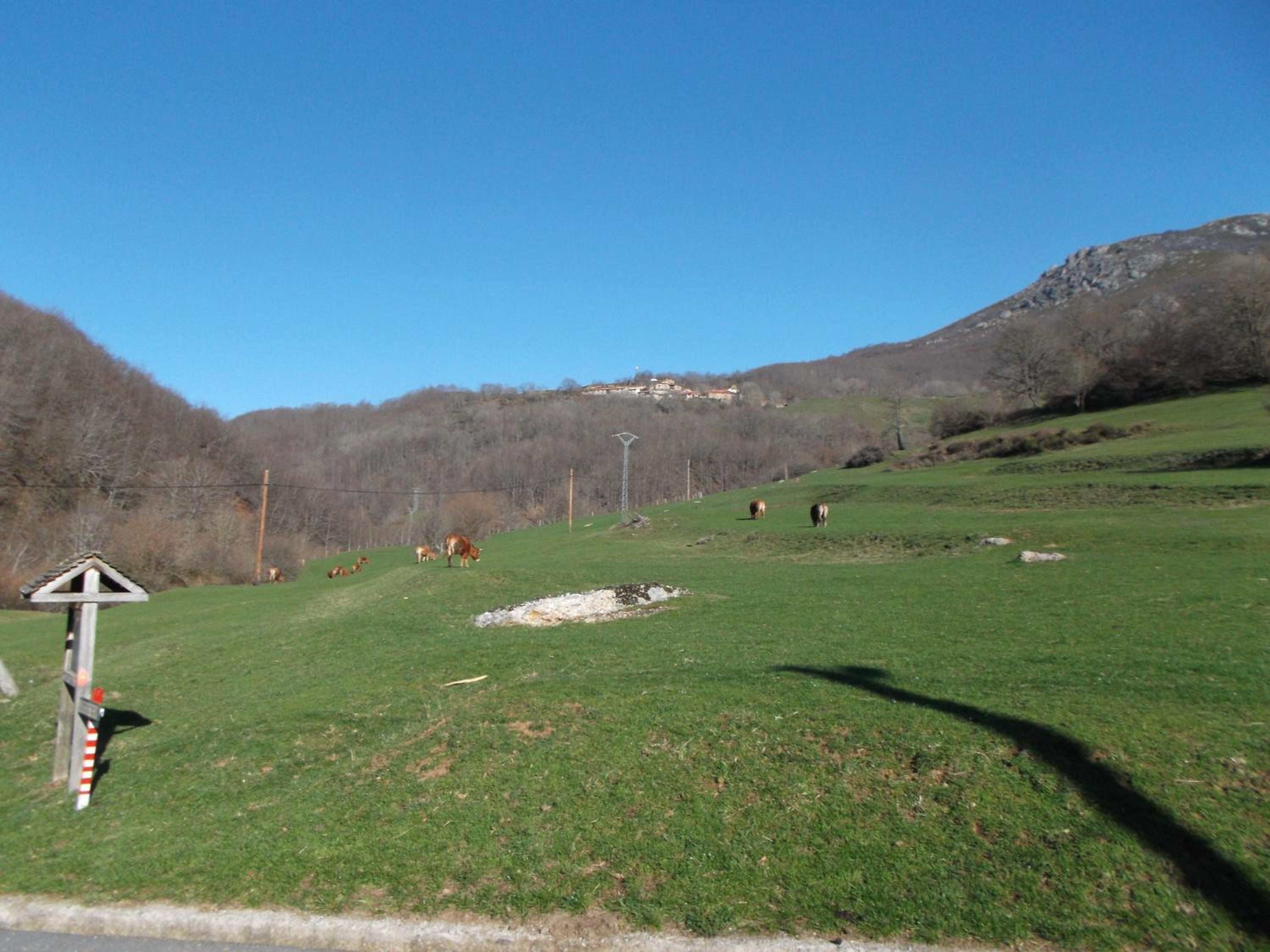 Photo 42