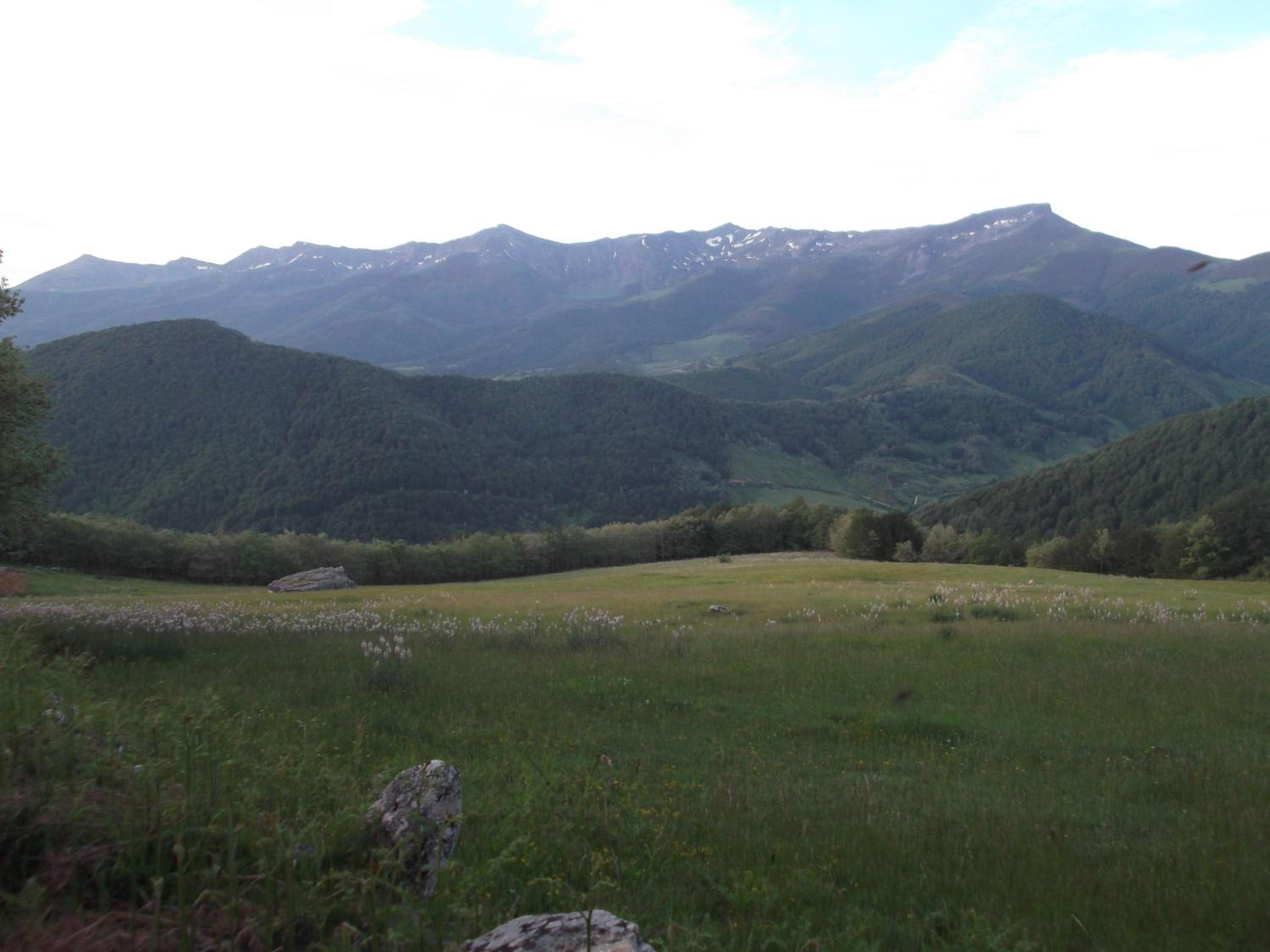 Photo 37
