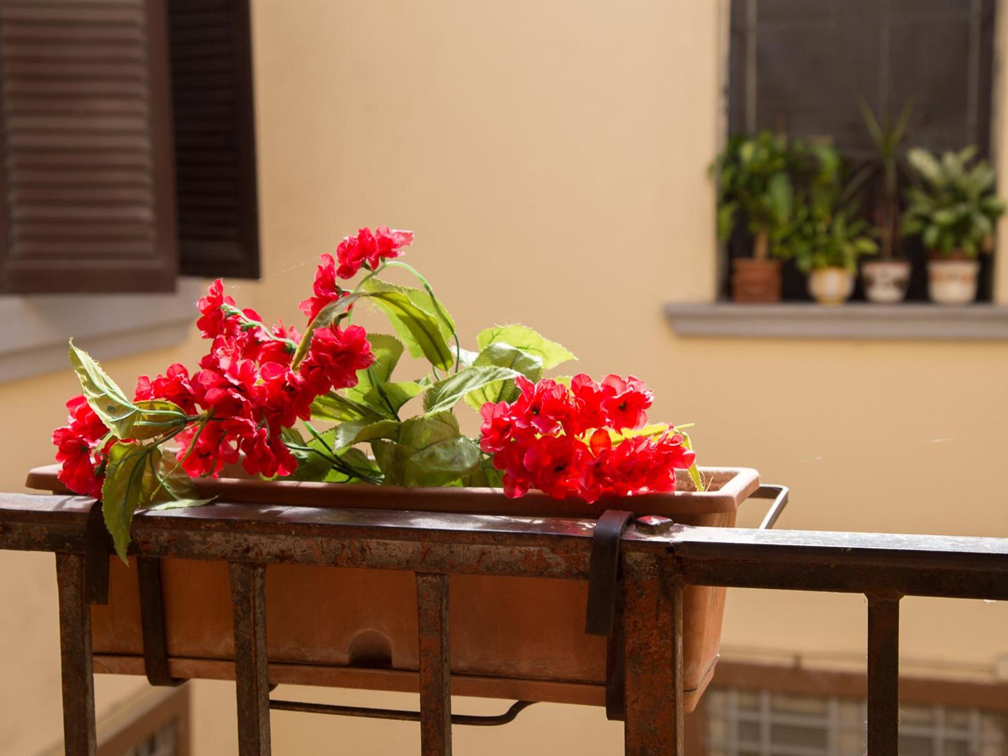 B&B Matida photo 3