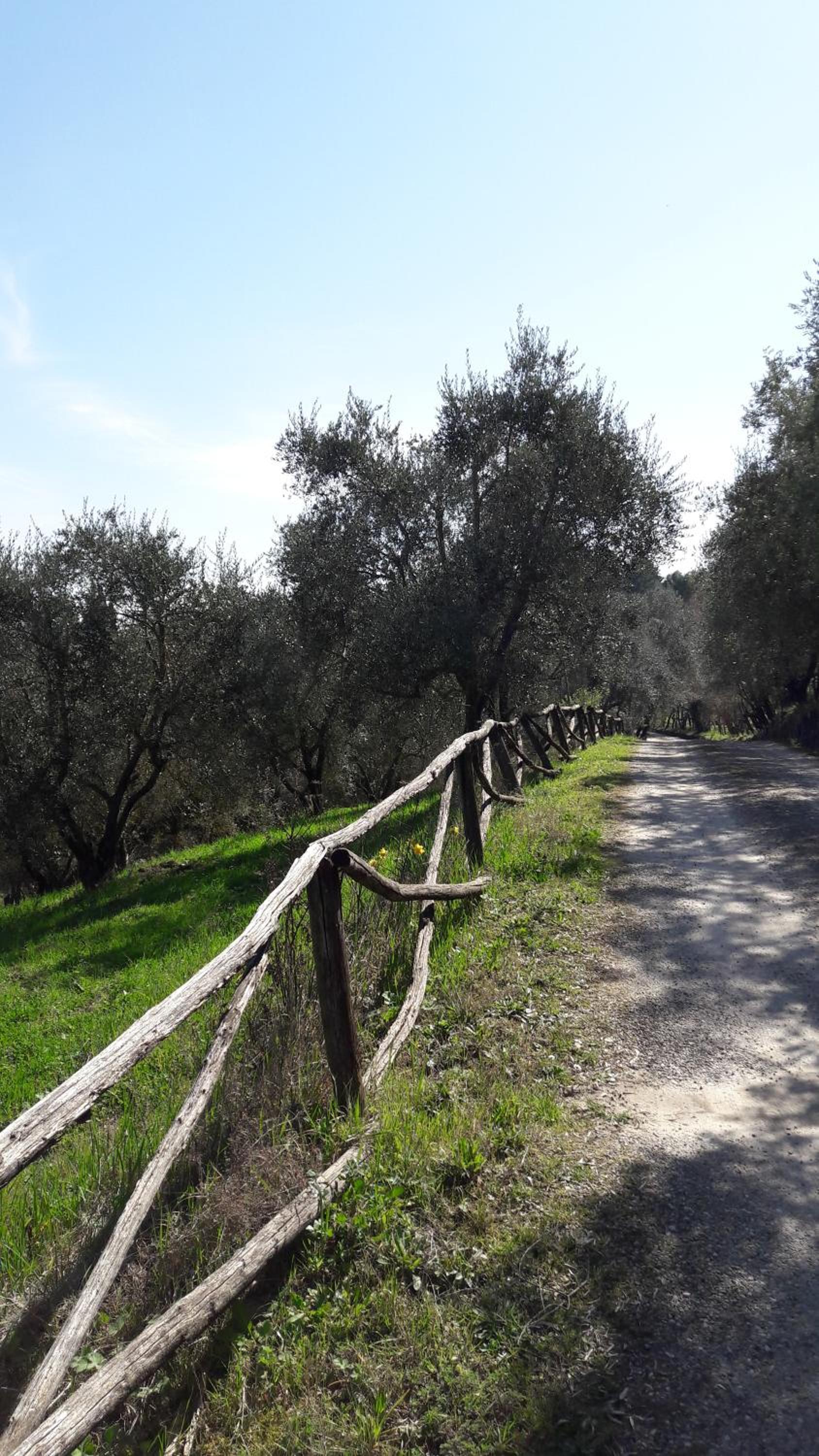Fattoria Il Milione Agriturismo