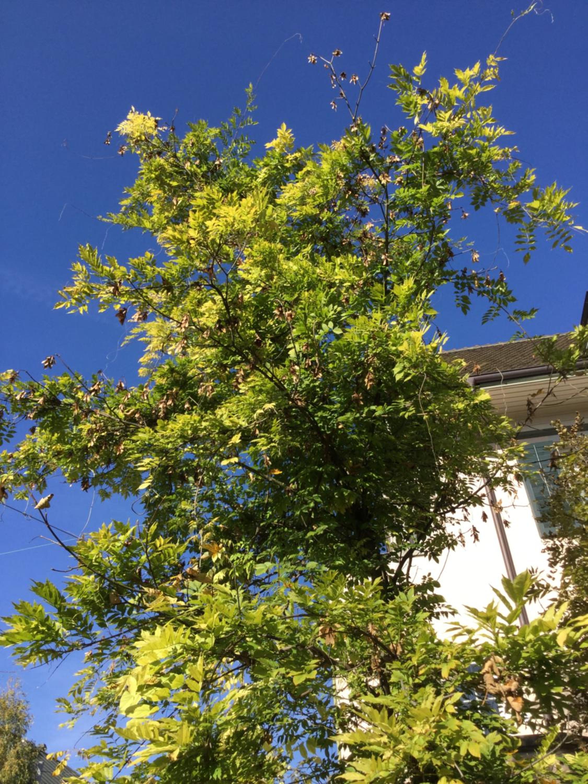 Photo 49