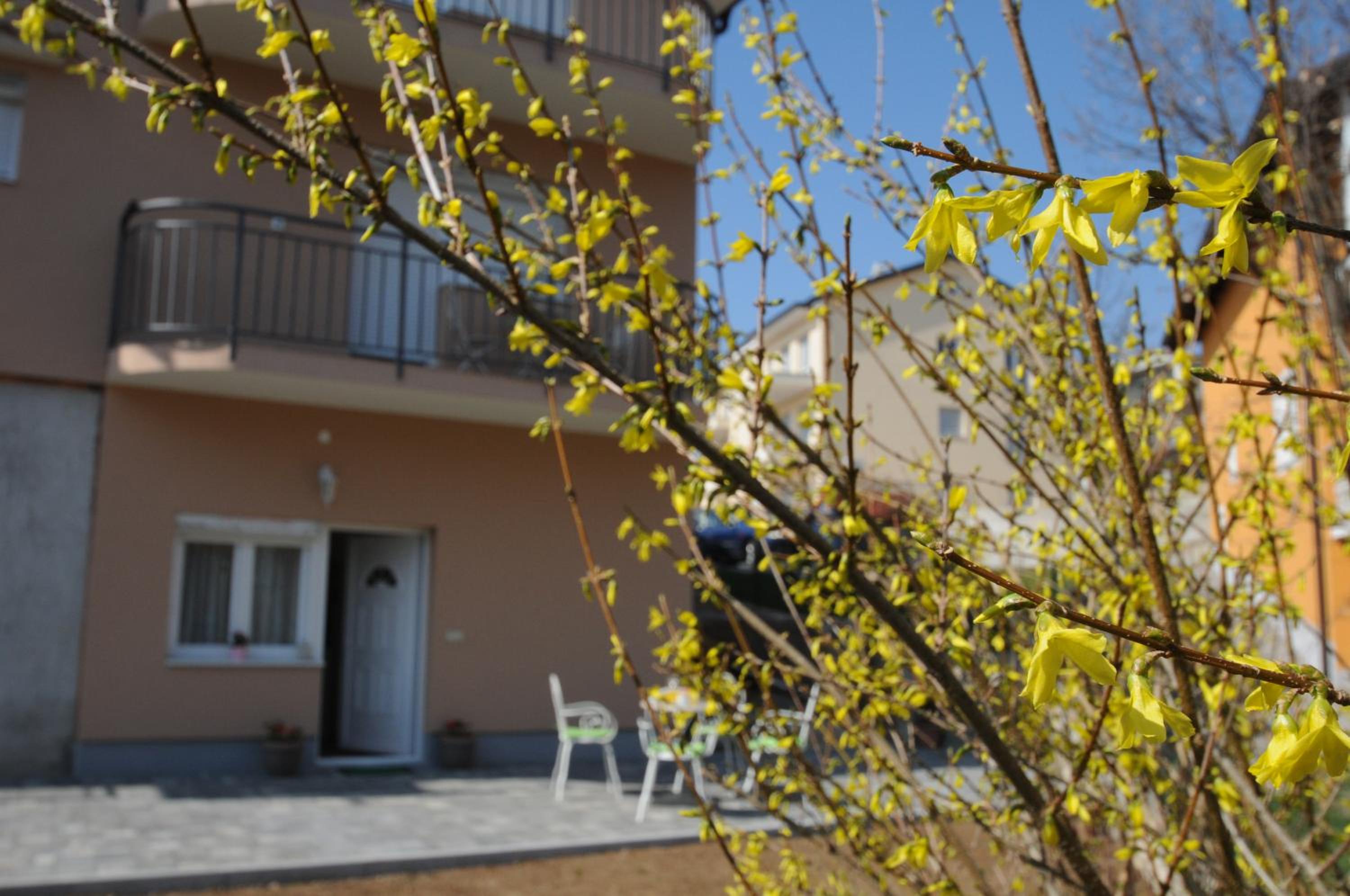Apartment Viškovo