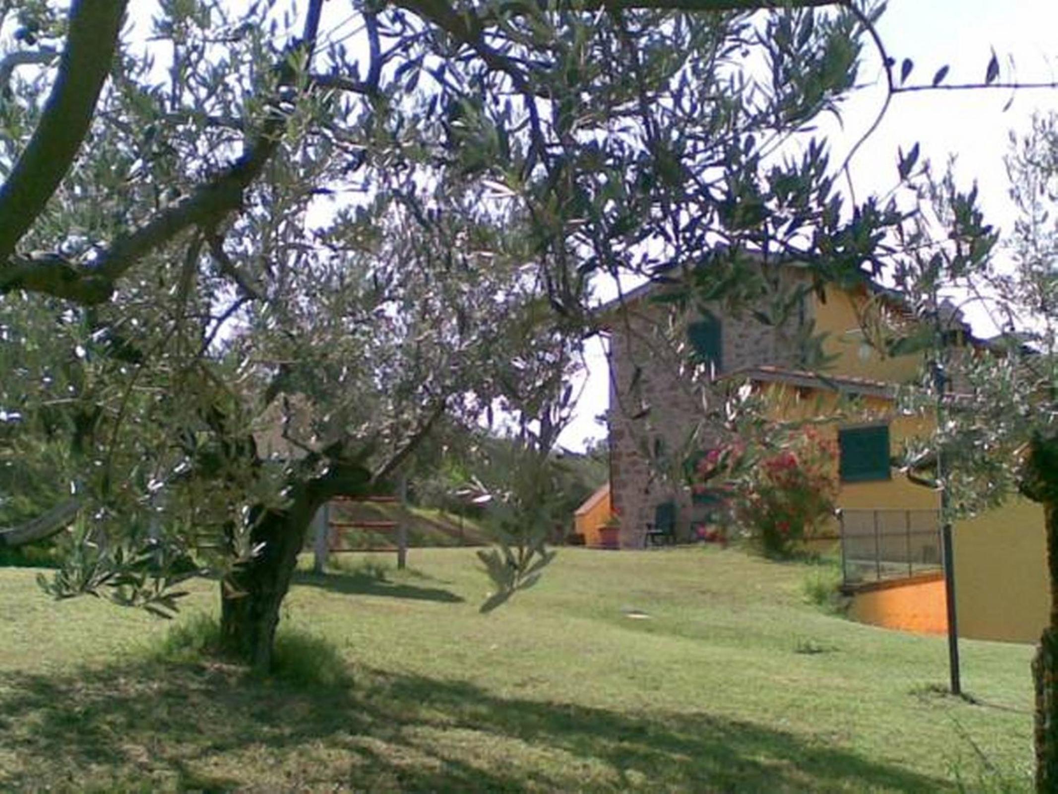 Il Poggio Delle Ginestre