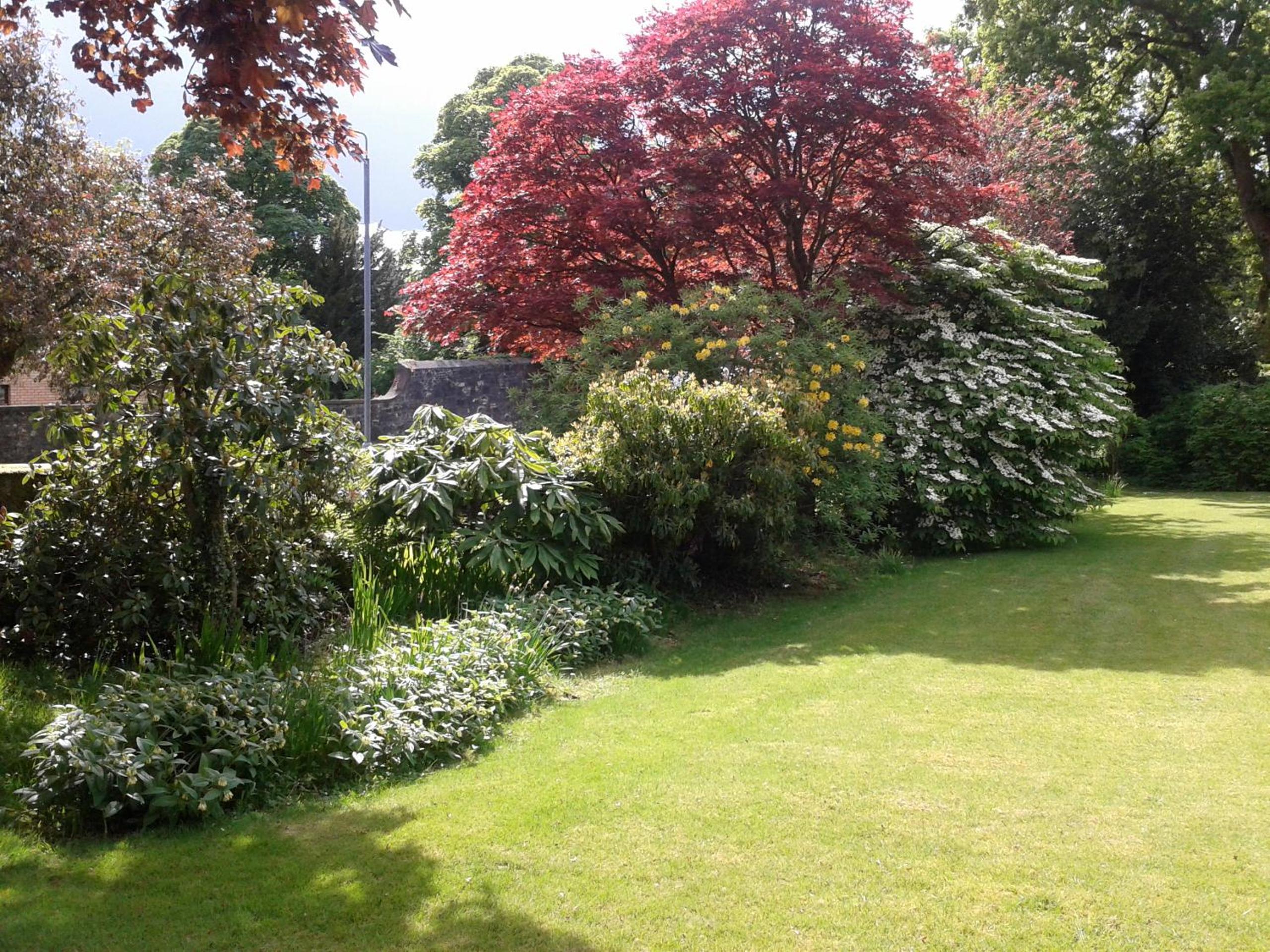 Photo 22