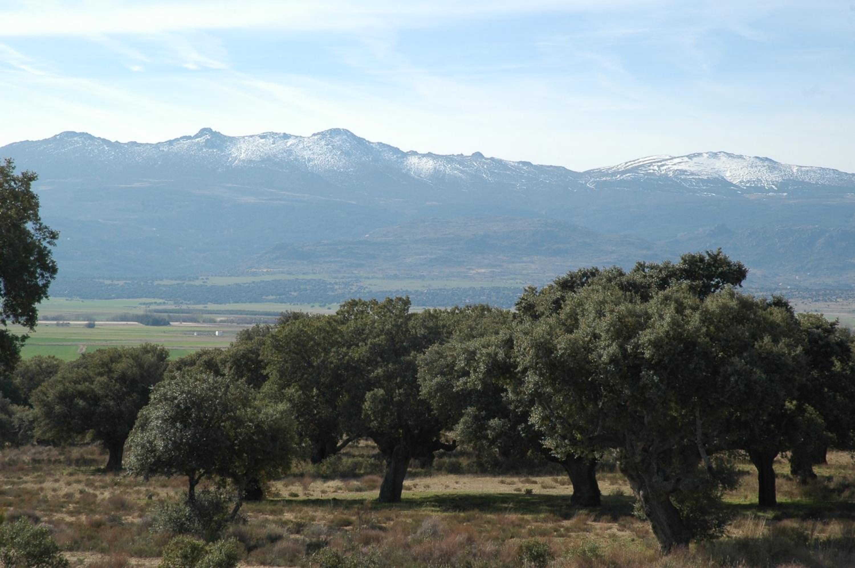 Casa Rural Reposo de Afanes