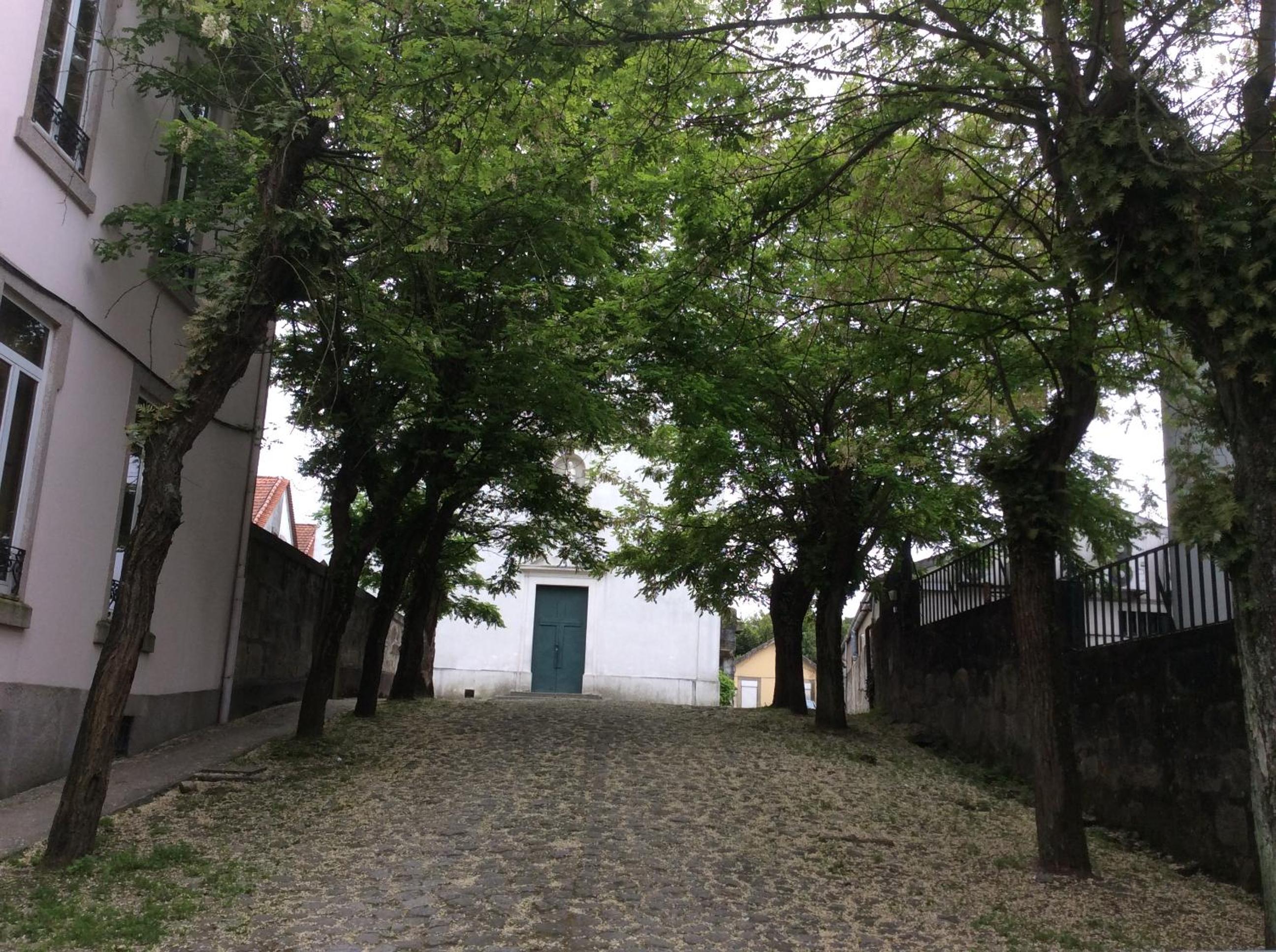 Photo 39