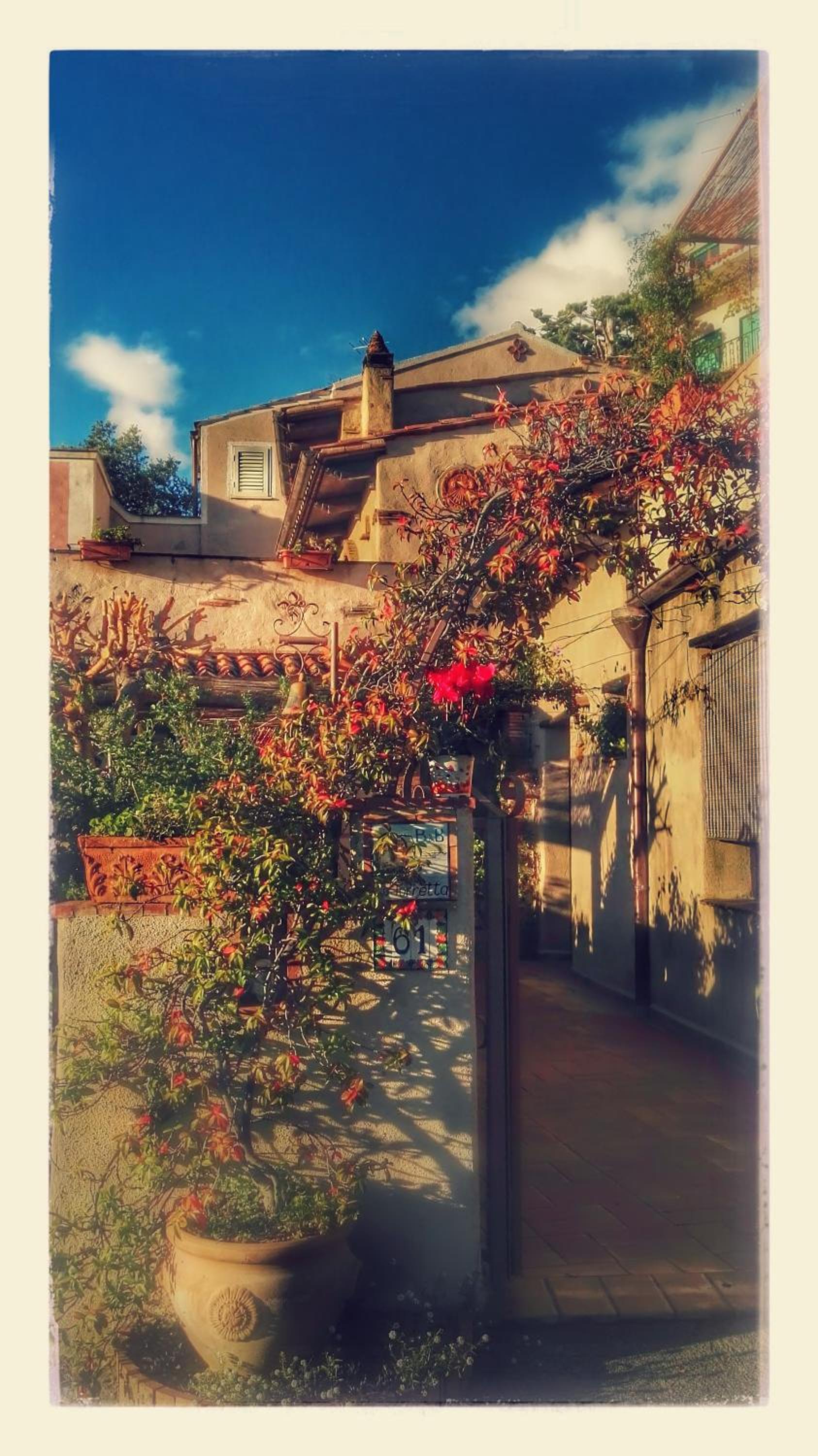 B&B La Torretta