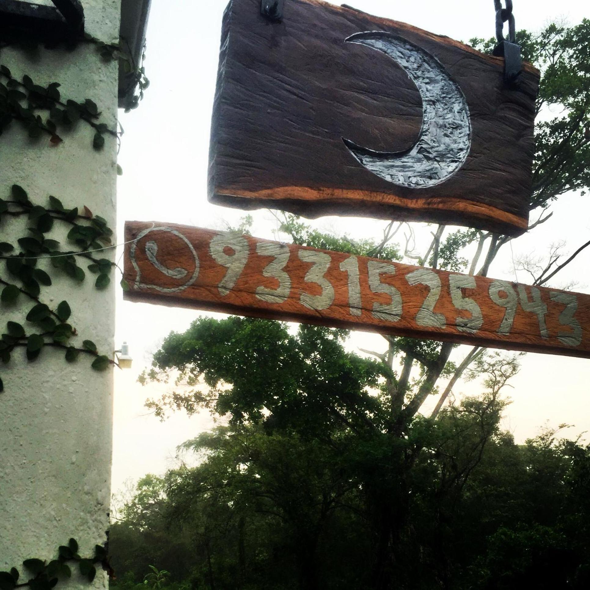 Photo 41
