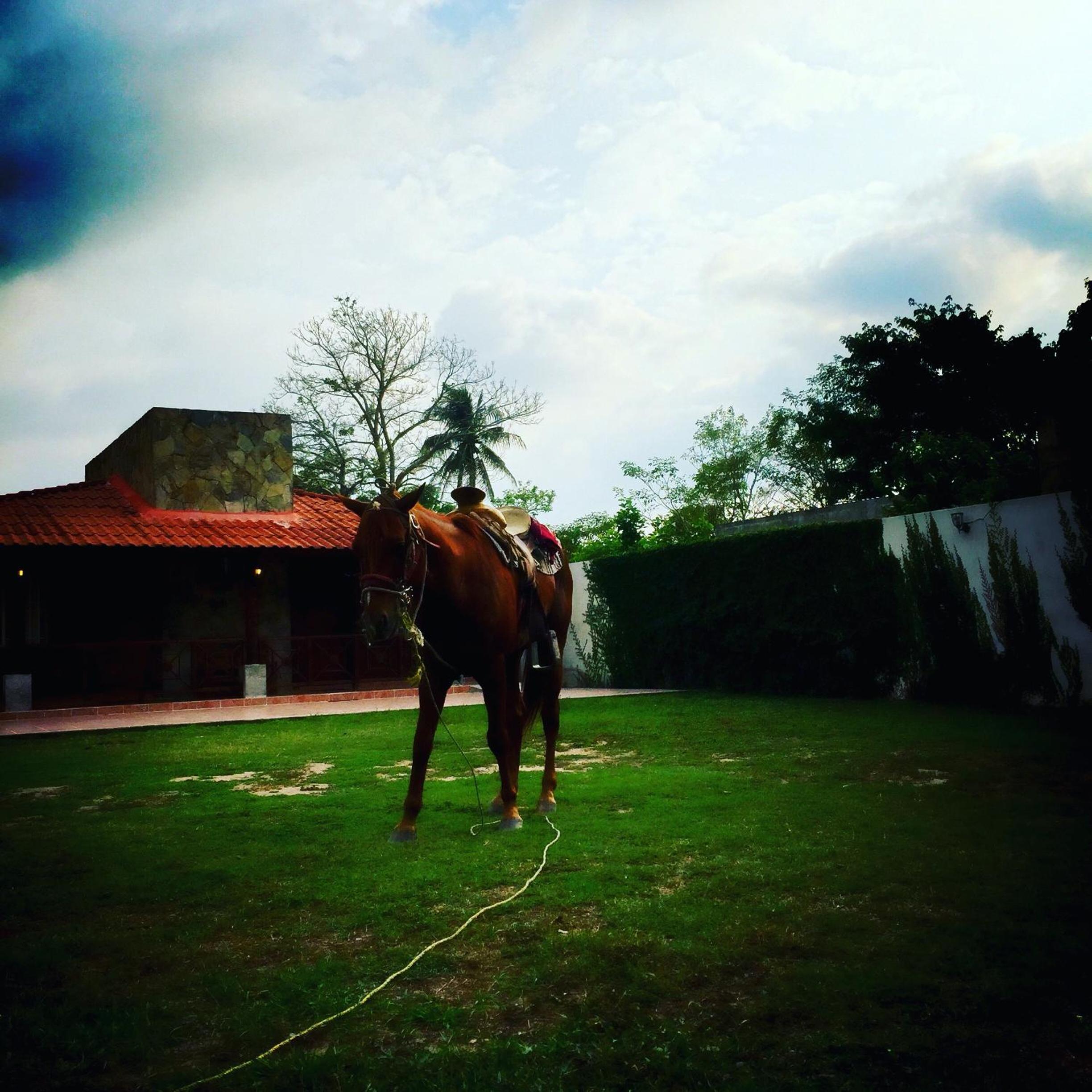 Photo 44