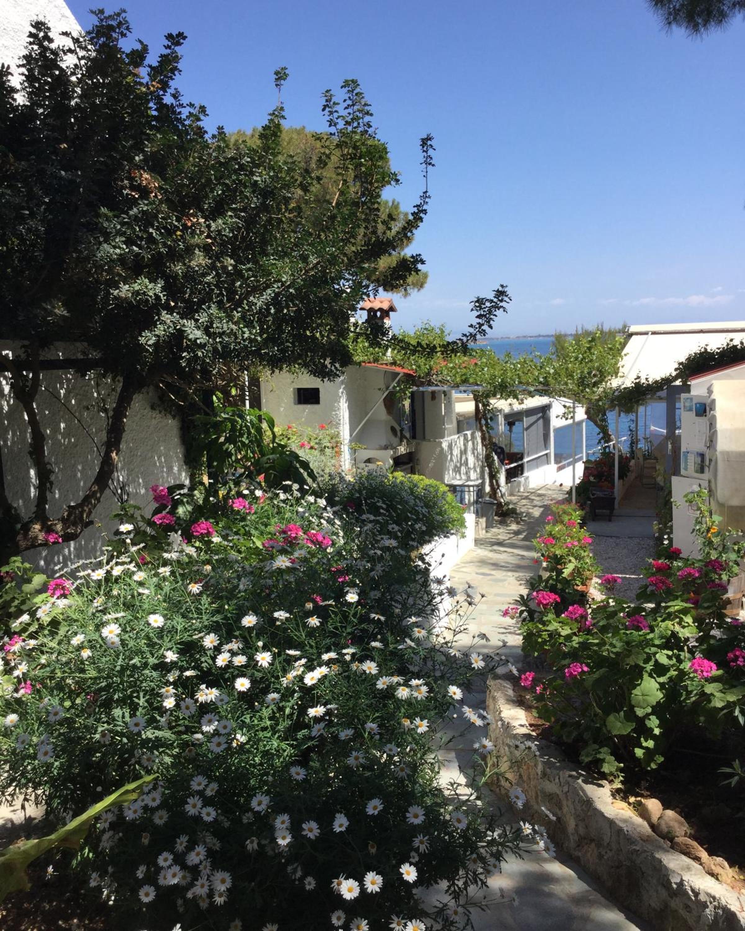 Rosys Little Village