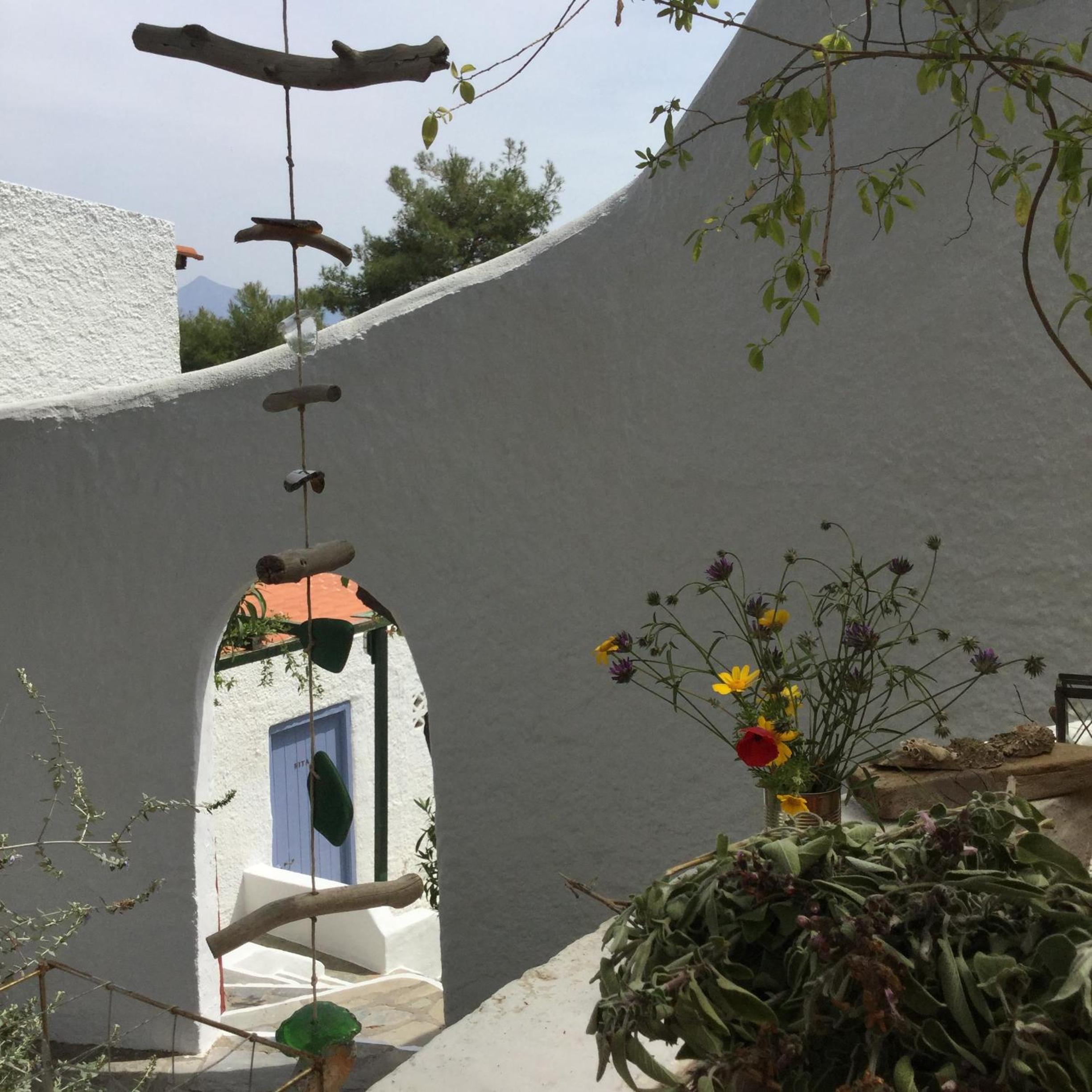 Rosys Little Village photo 5