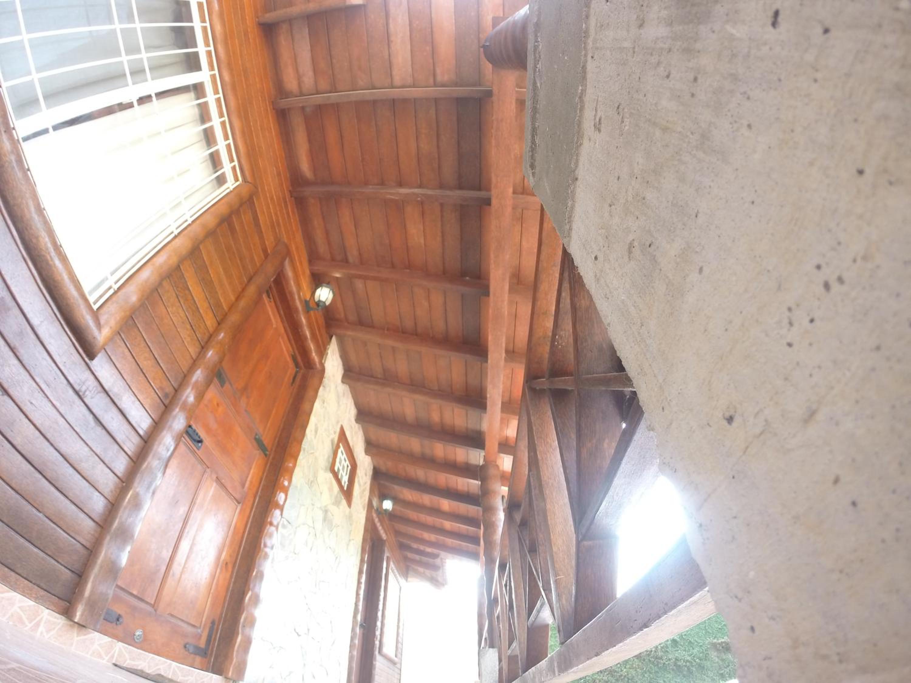 Photo 38
