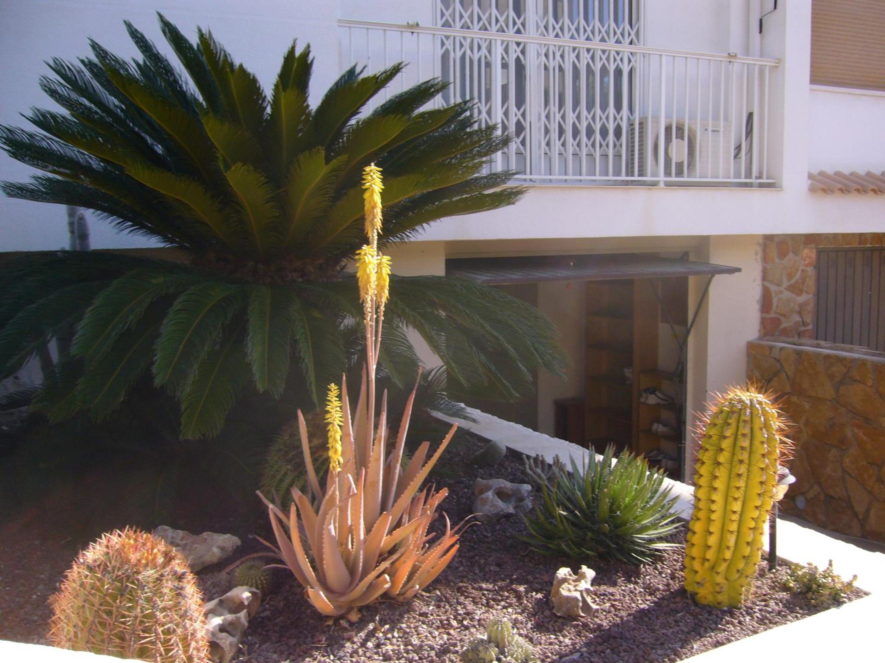 Casa Alice
