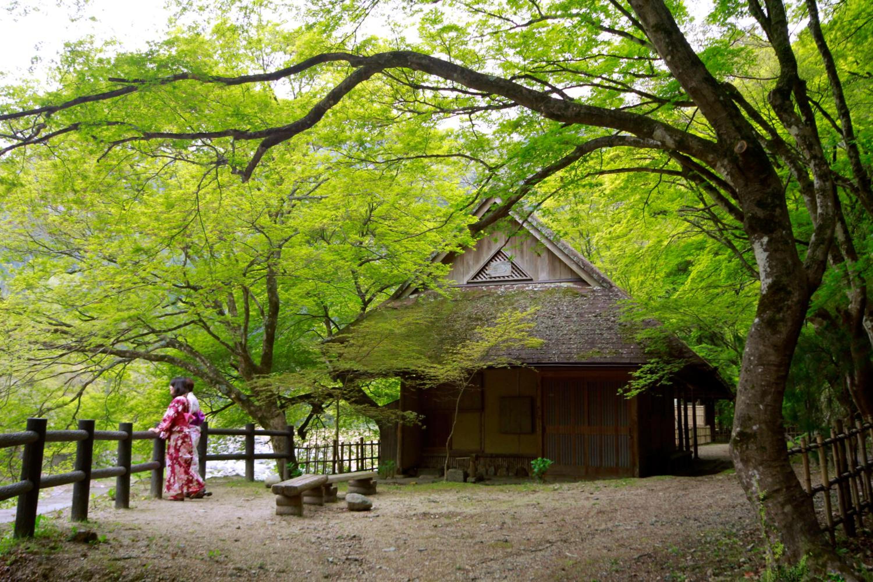 Korantei