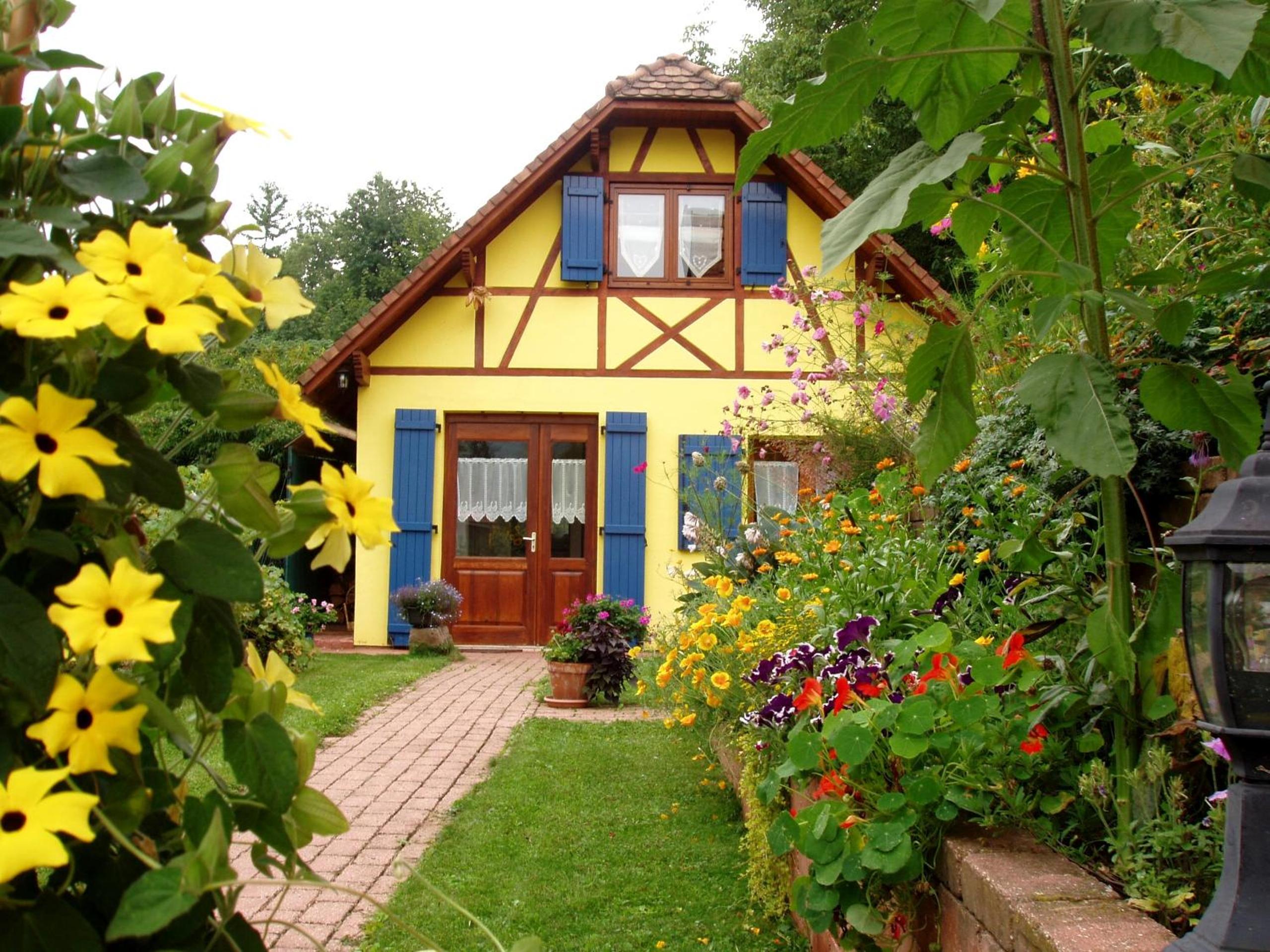 Gite en Alsace view 2