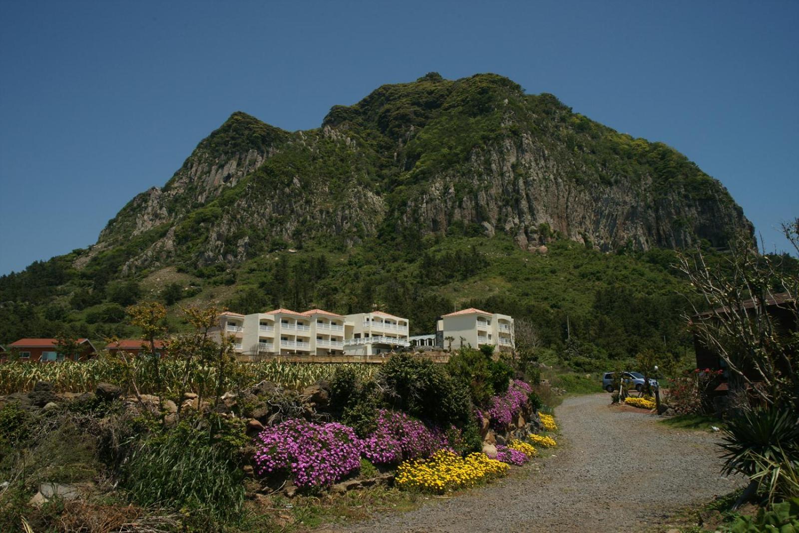 Photo 27