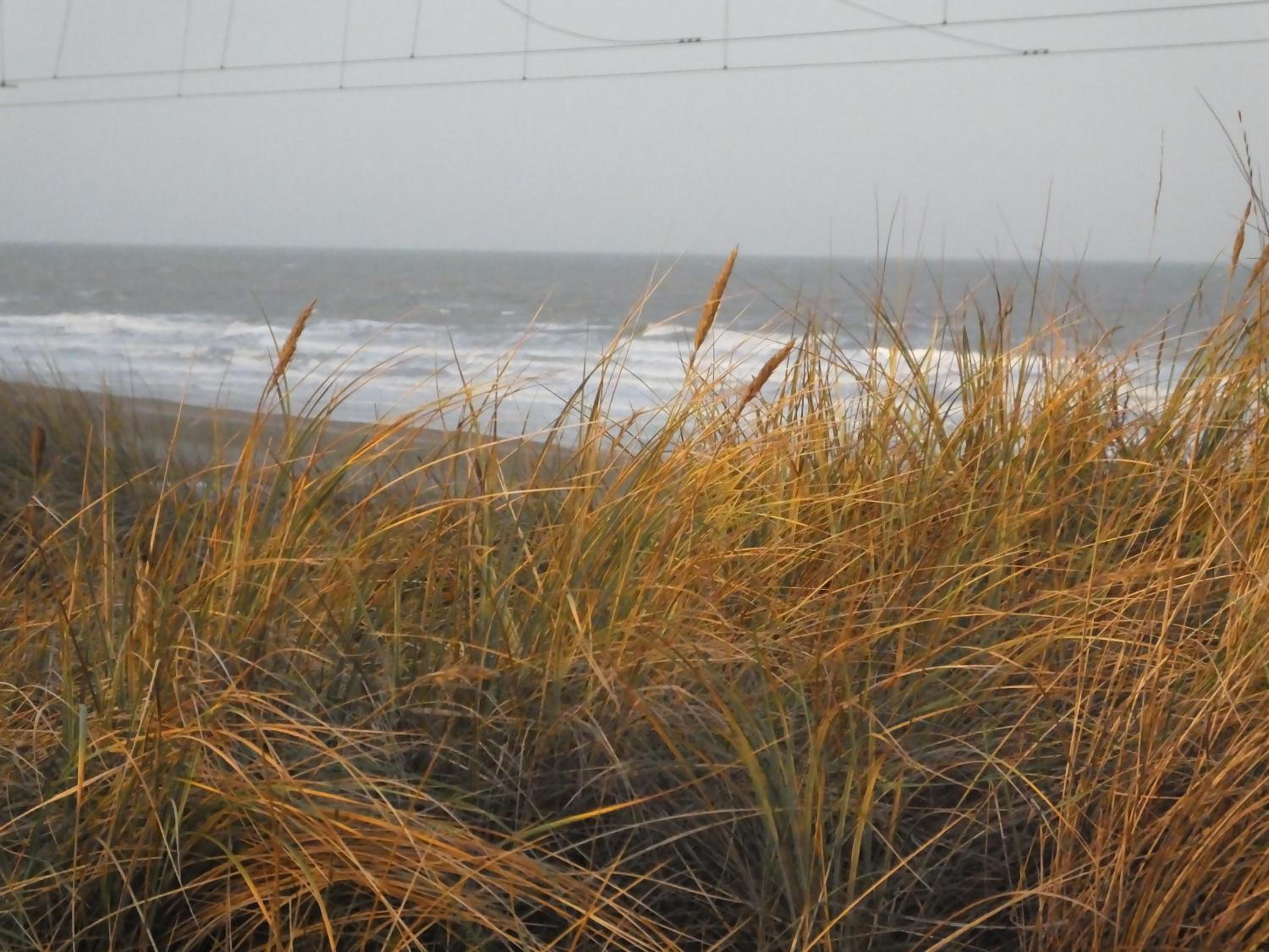 Sable d'O -Vlak aan de zee-