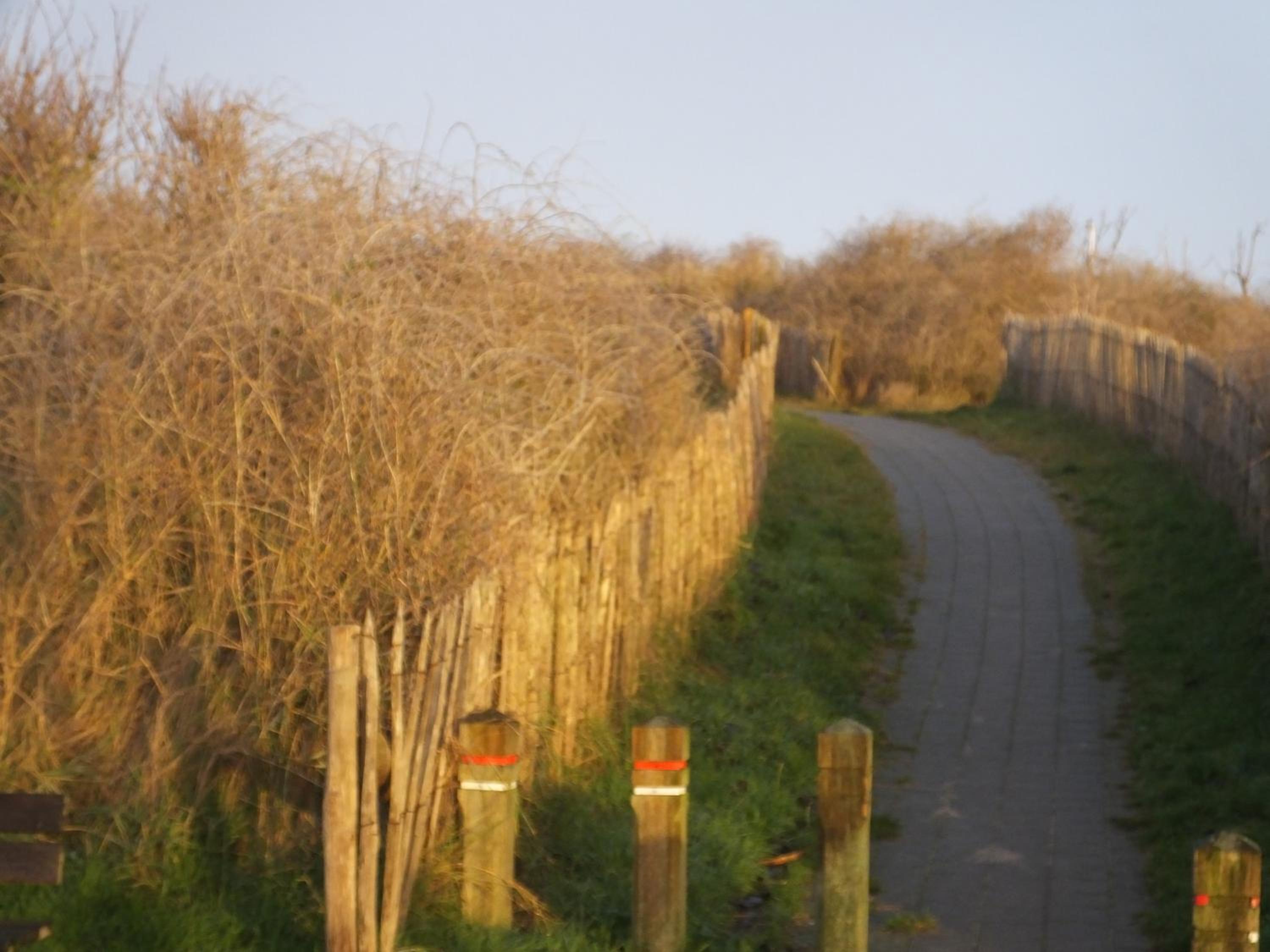 Sable d'O -Vlak aan de zee-