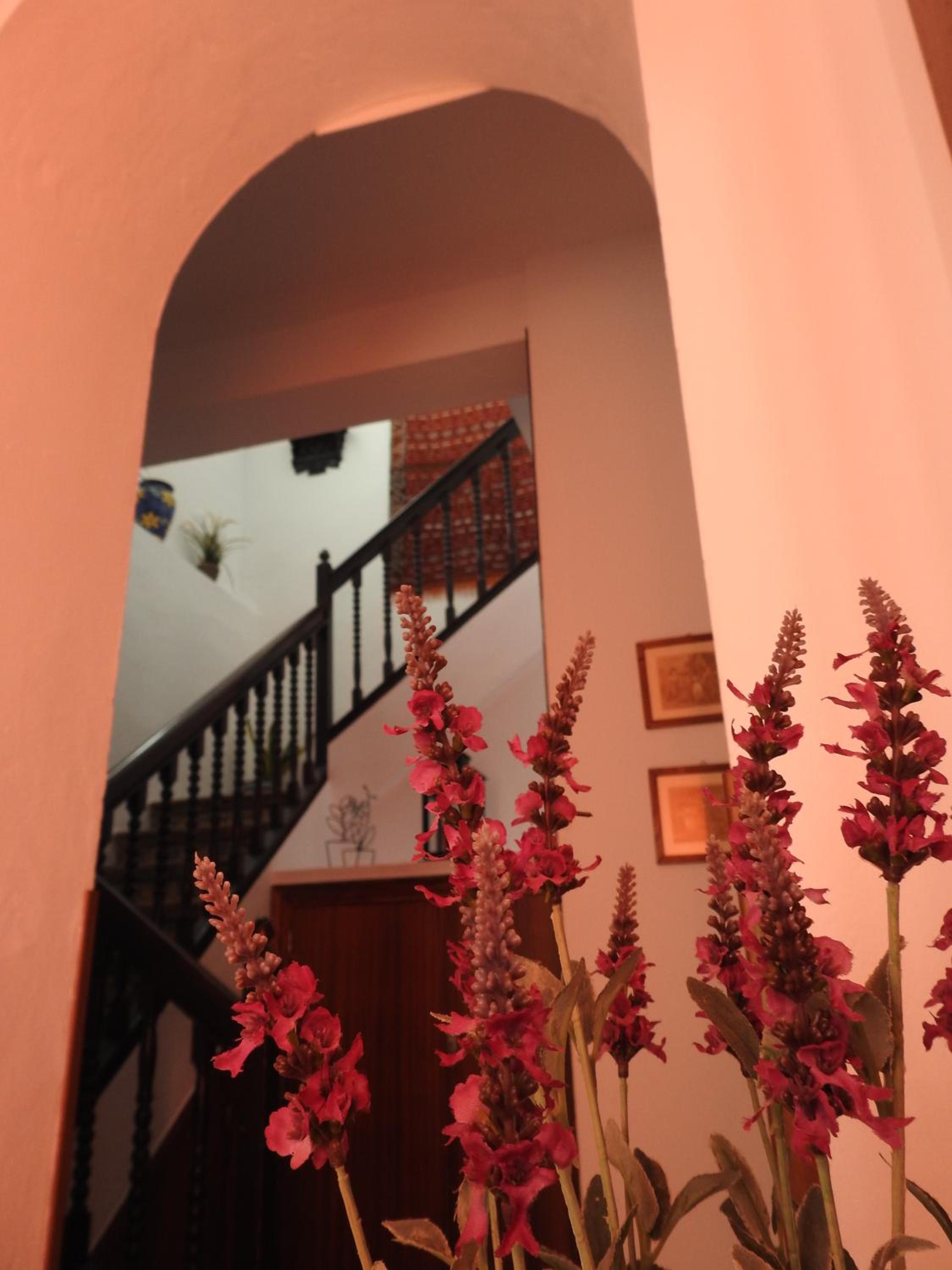 Photo 34