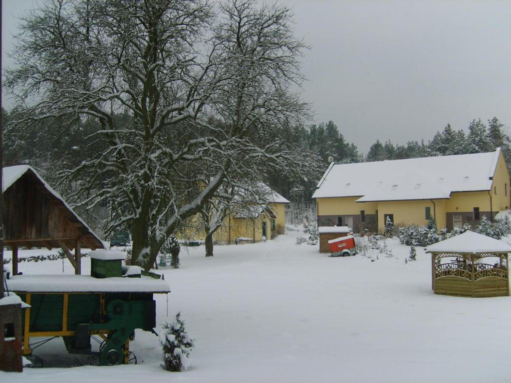 Photo 22